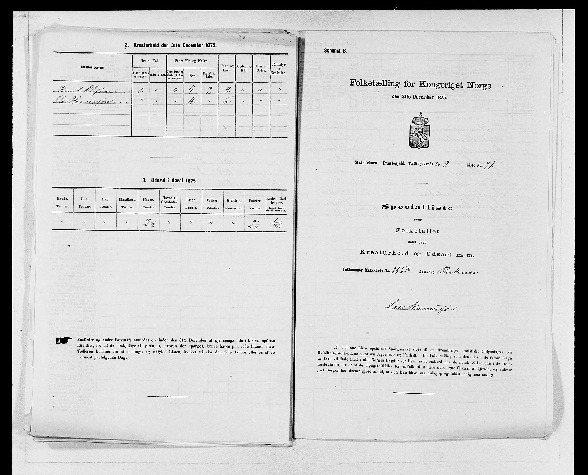 SAB, 1875 census for 1226P Strandebarm, 1875, p. 317