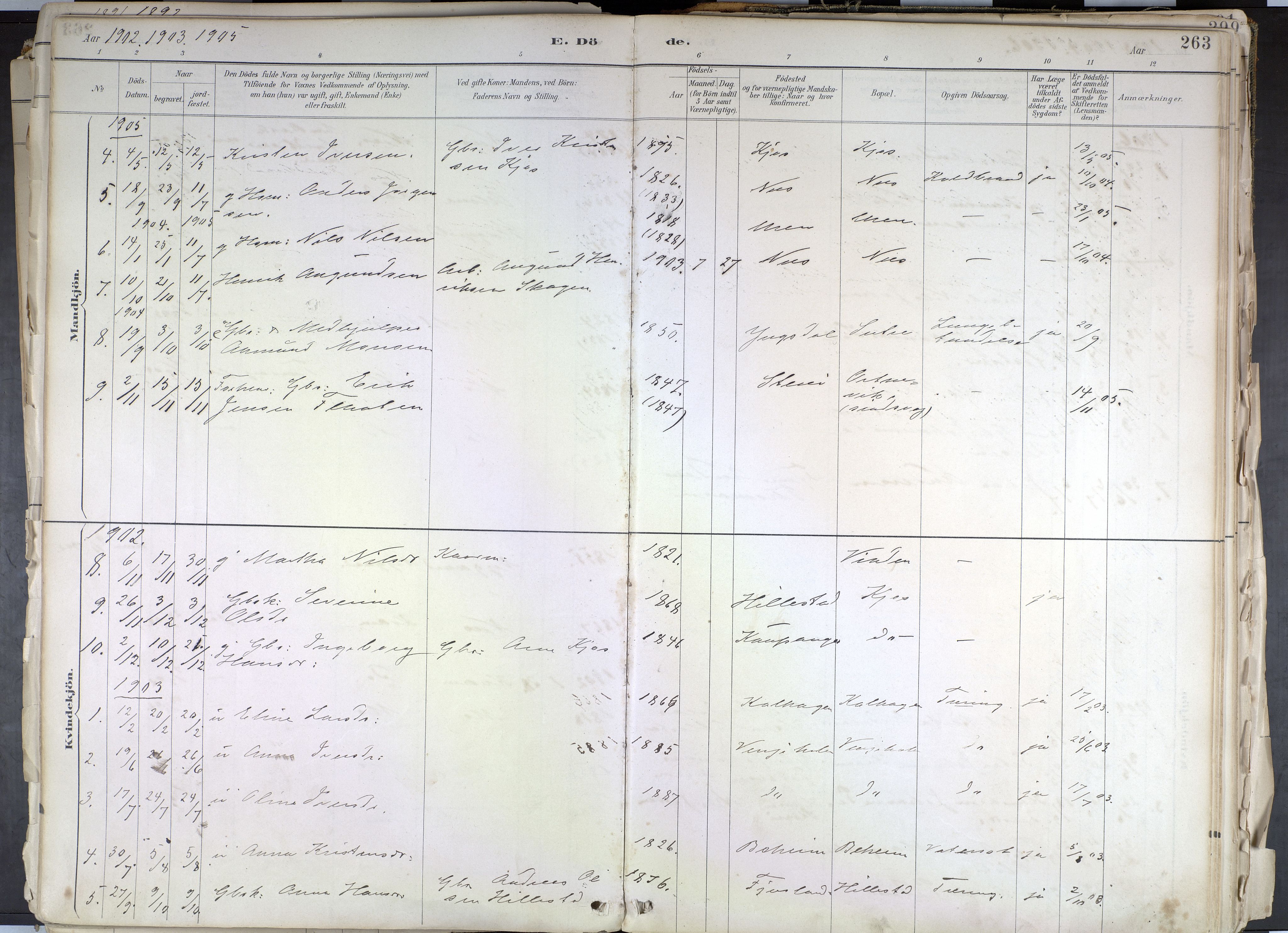 Hafslo sokneprestembete, AV/SAB-A-80301/H/Haa/Haab/L0001: Parish register (official) no. B 1, 1886-1945, p. 263