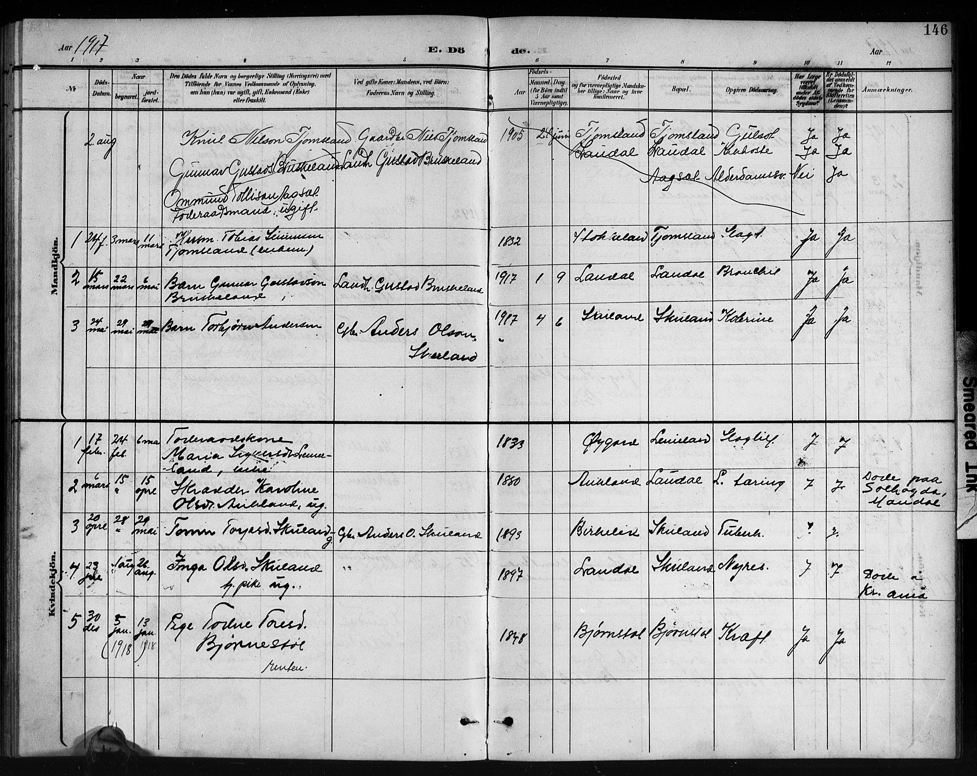 Holum sokneprestkontor, AV/SAK-1111-0022/F/Fb/Fbb/L0004: Parish register (copy) no. B 4, 1899-1920, p. 146