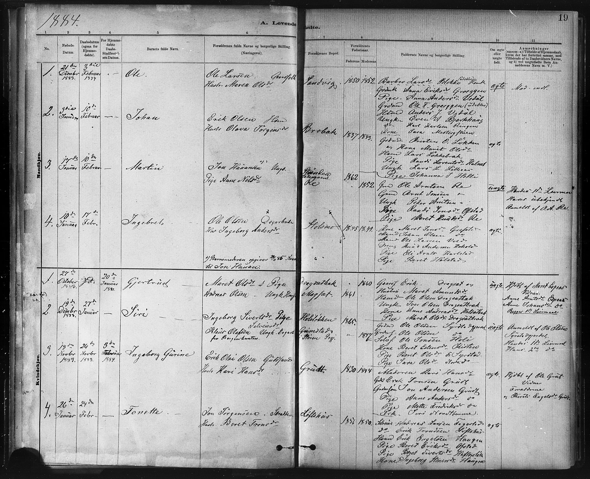 Ministerialprotokoller, klokkerbøker og fødselsregistre - Sør-Trøndelag, SAT/A-1456/672/L0857: Parish register (official) no. 672A09, 1882-1893, p. 19