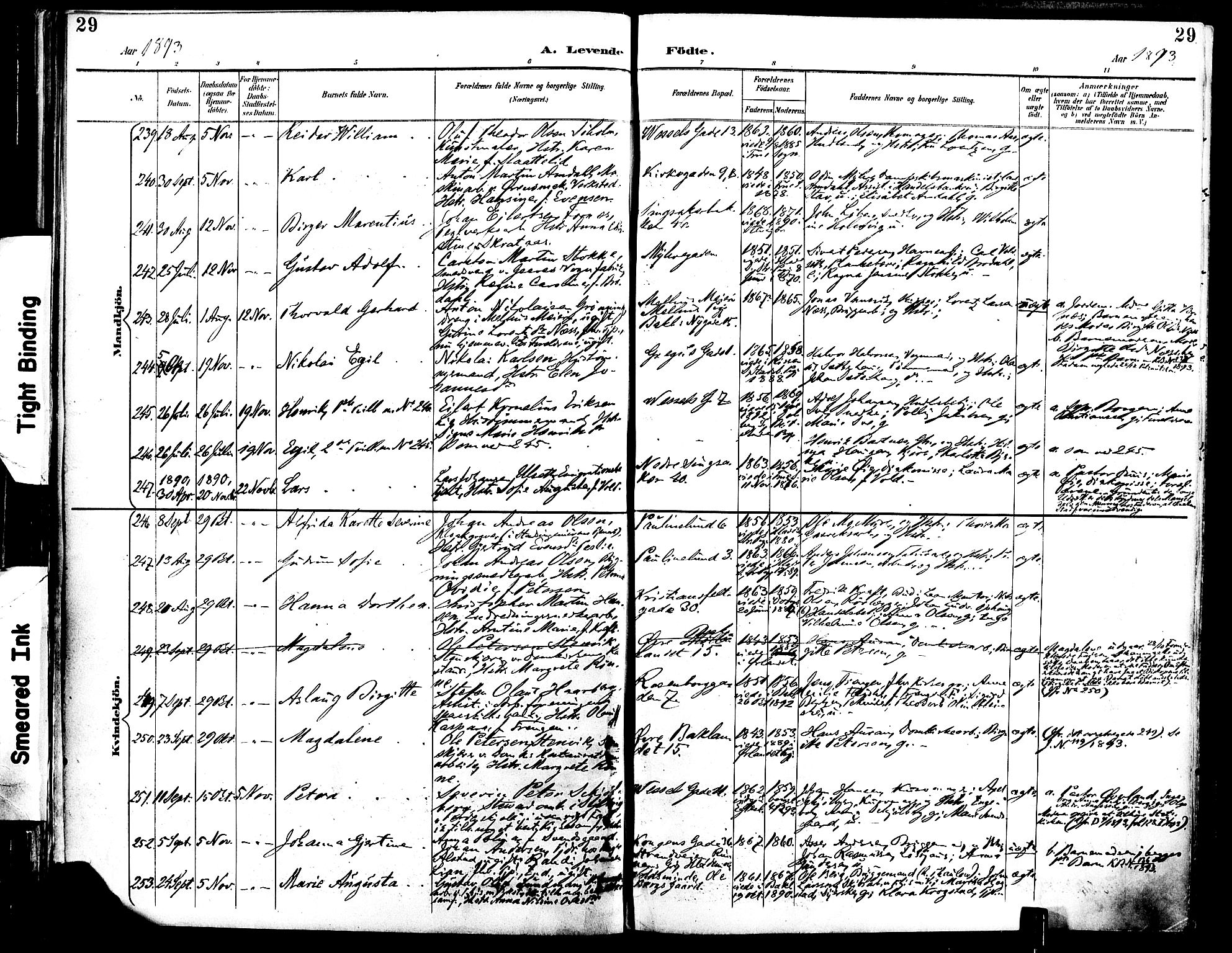 Ministerialprotokoller, klokkerbøker og fødselsregistre - Sør-Trøndelag, AV/SAT-A-1456/604/L0197: Parish register (official) no. 604A18, 1893-1900, p. 29