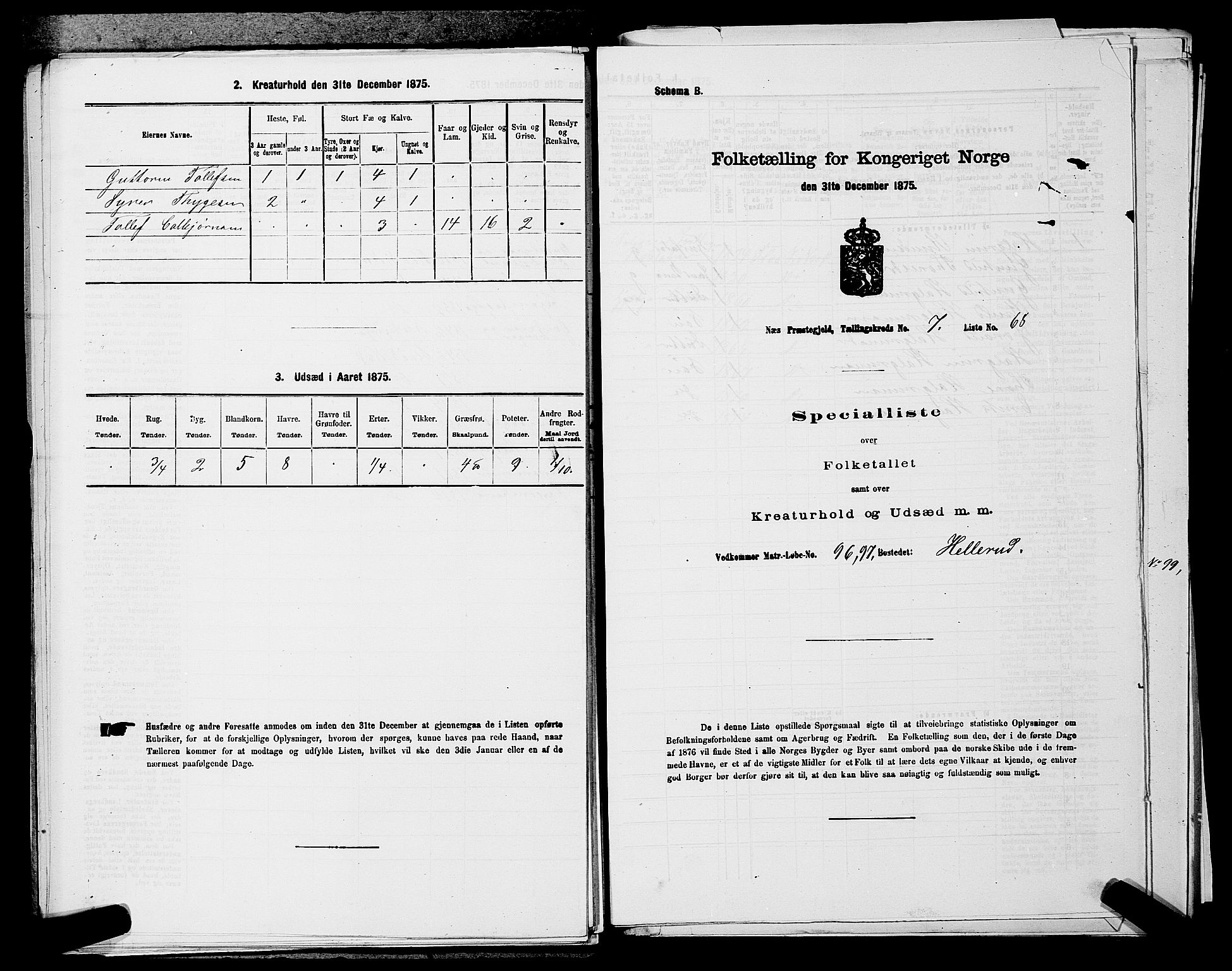 SAKO, 1875 census for 0616P Nes, 1875, p. 1313