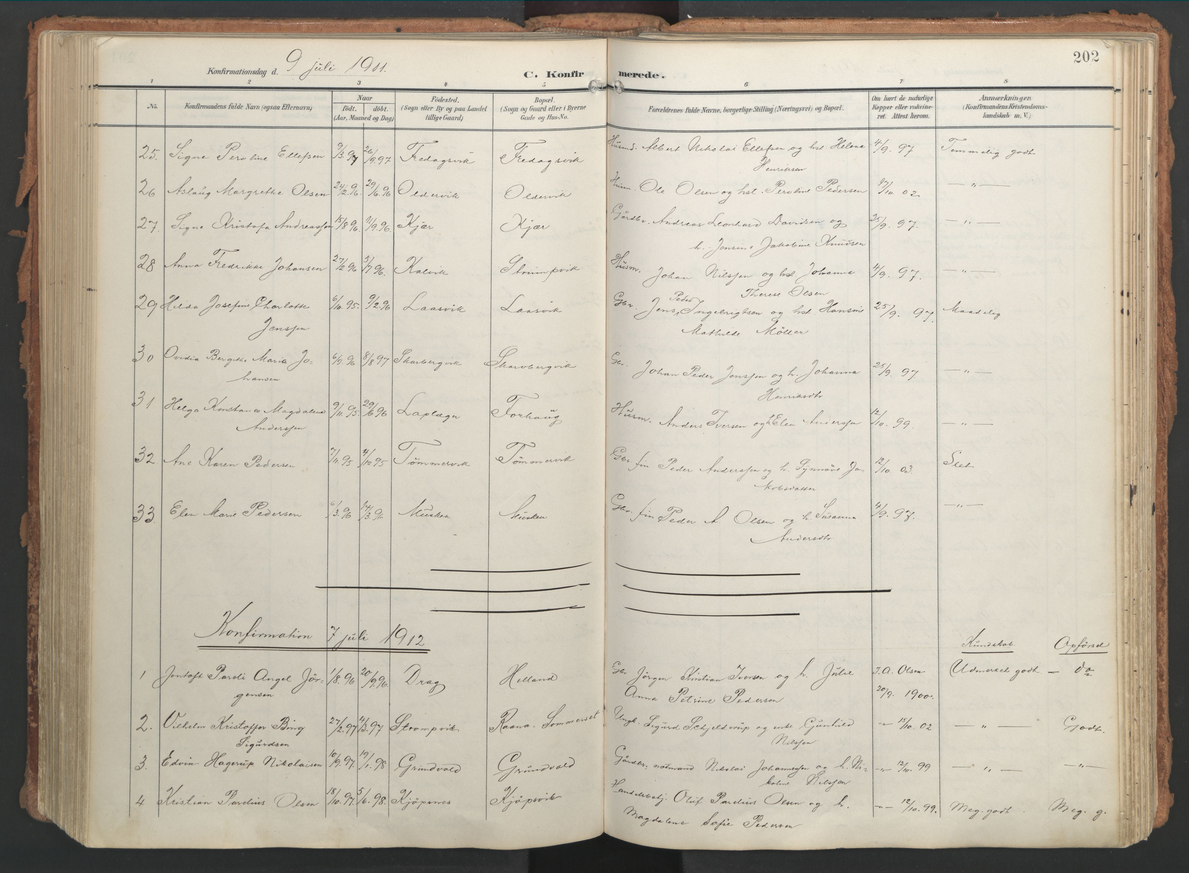 Ministerialprotokoller, klokkerbøker og fødselsregistre - Nordland, AV/SAT-A-1459/861/L0871: Parish register (official) no. 861A06, 1903-1916, p. 202