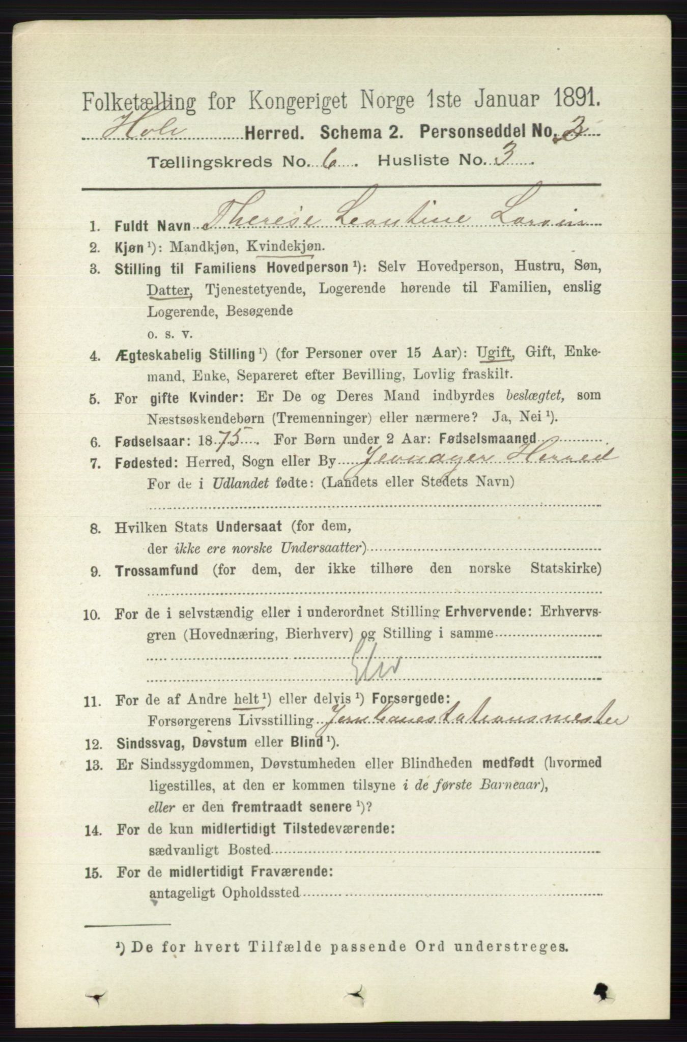 RA, 1891 census for 0612 Hole, 1891, p. 3119