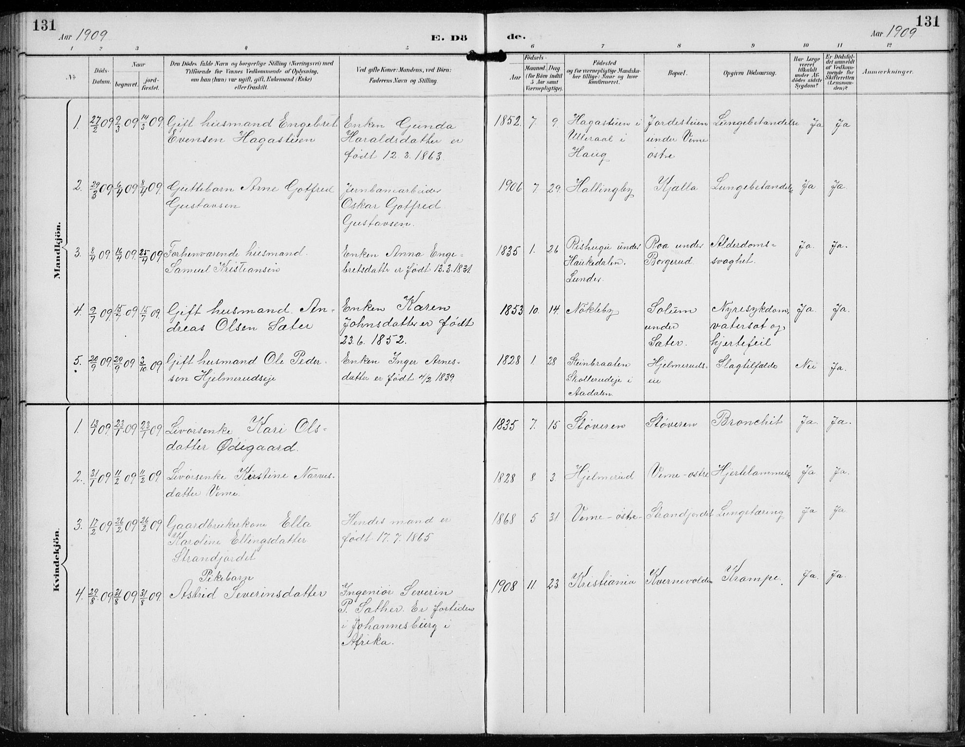 Lunder kirkebøker, AV/SAKO-A-629/F/Fb/L0001: Parish register (official) no. II 1, 1893-1916, p. 131