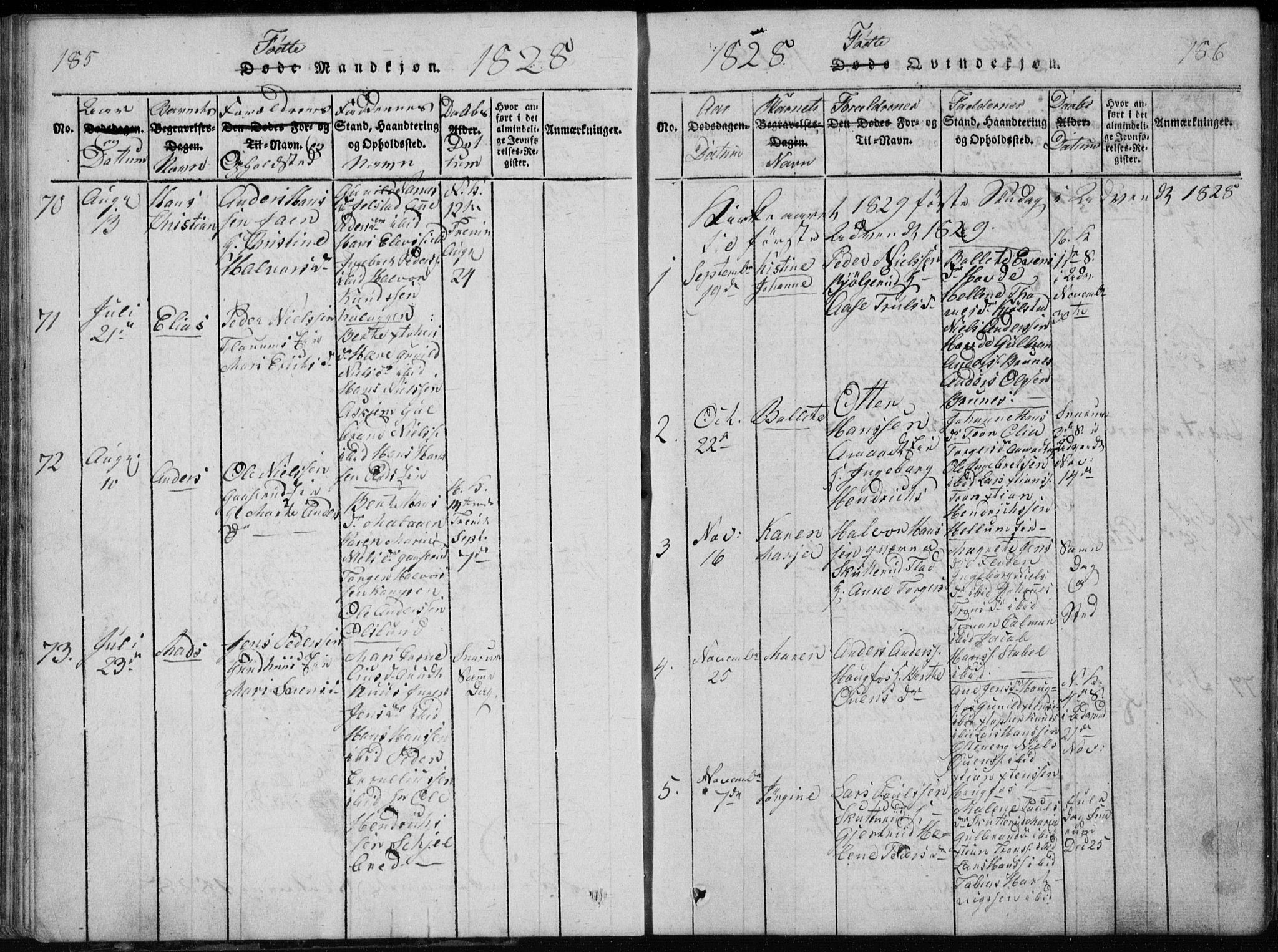 Modum kirkebøker, AV/SAKO-A-234/G/Ga/L0002: Parish register (copy) no. I 2, 1824-1832, p. 185-186