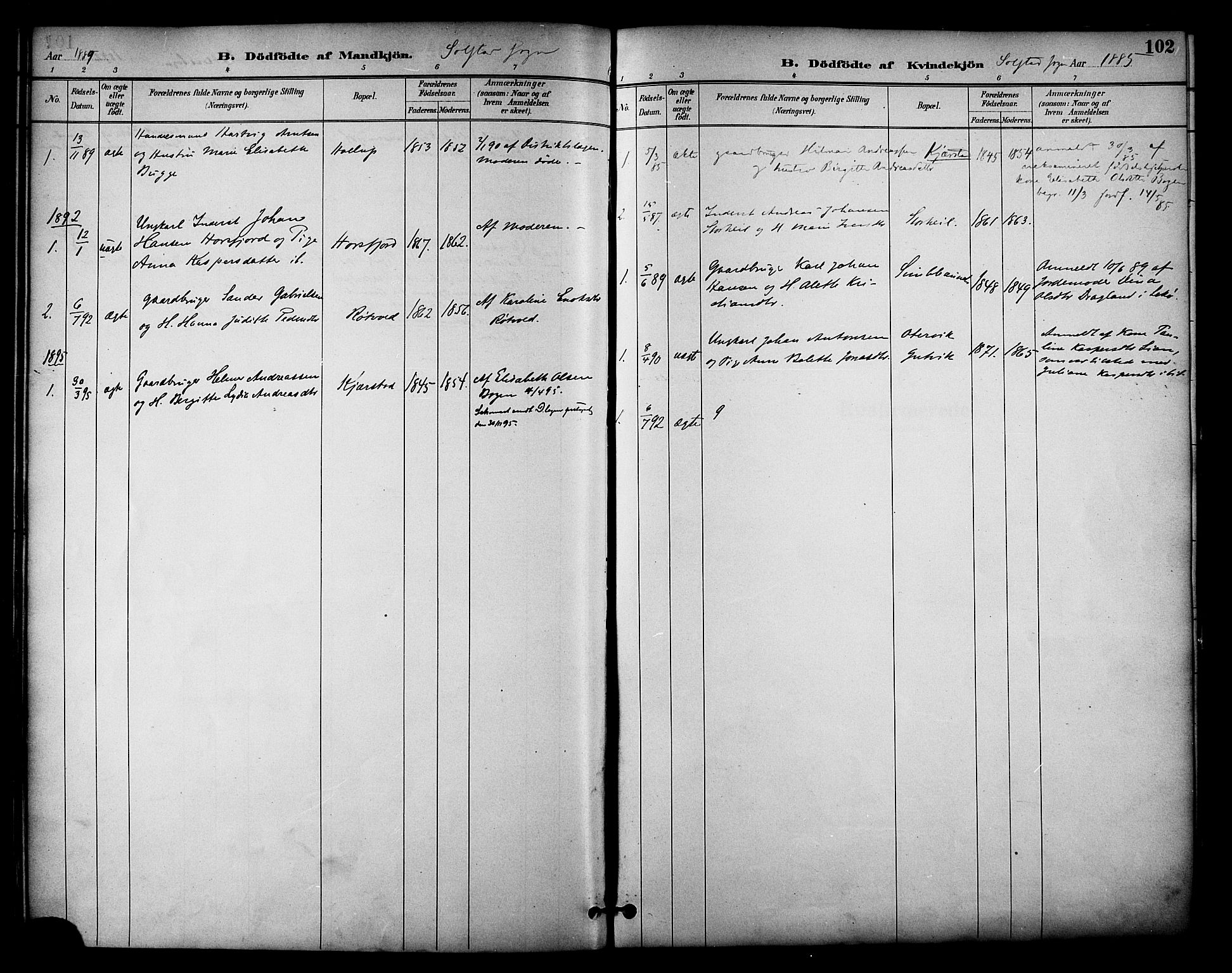 Ministerialprotokoller, klokkerbøker og fødselsregistre - Nordland, AV/SAT-A-1459/810/L0151: Parish register (official) no. 810A10 /2, 1885-1895, p. 102