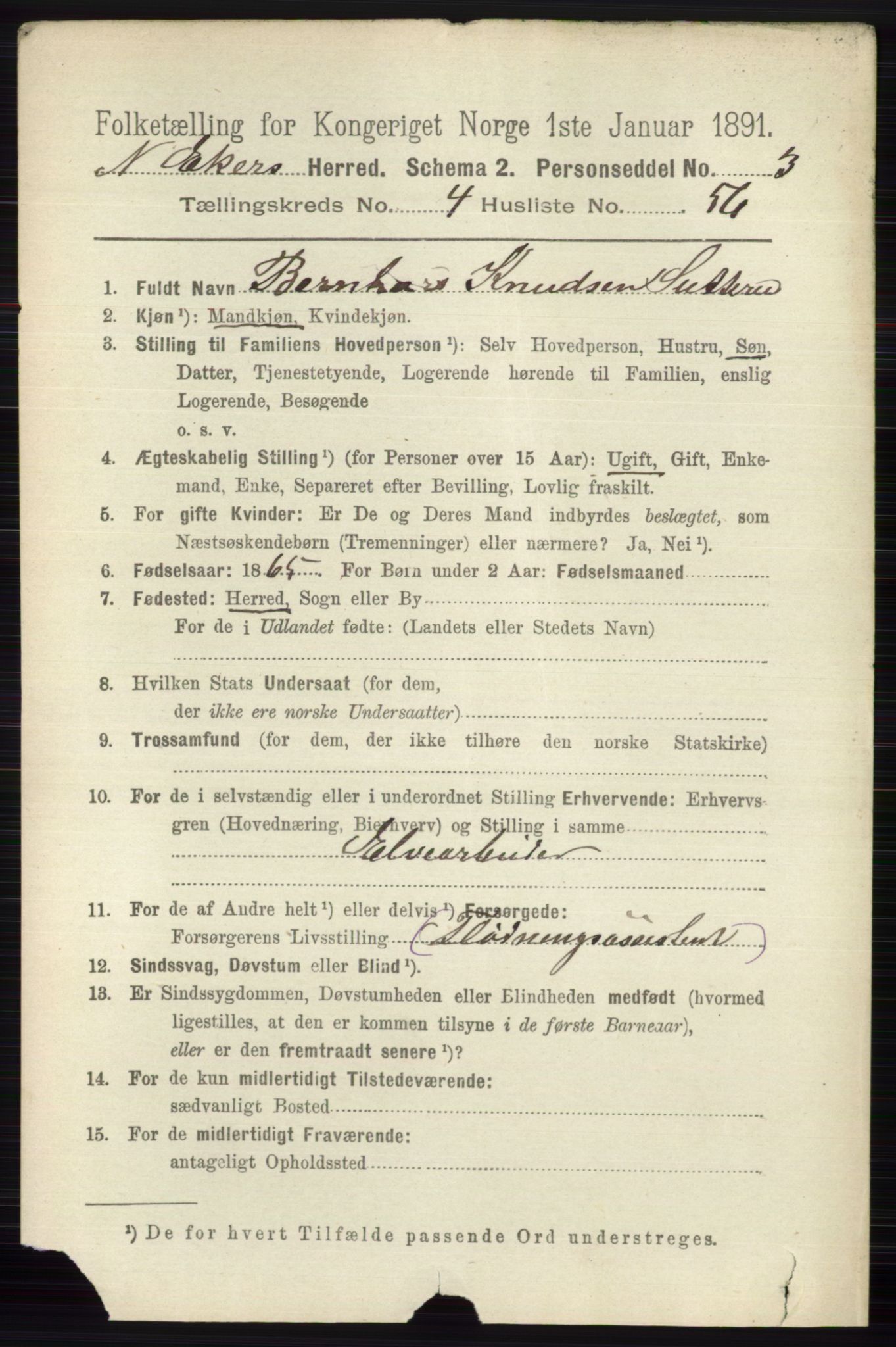 RA, 1891 census for 0625 Nedre Eiker, 1891, p. 2249