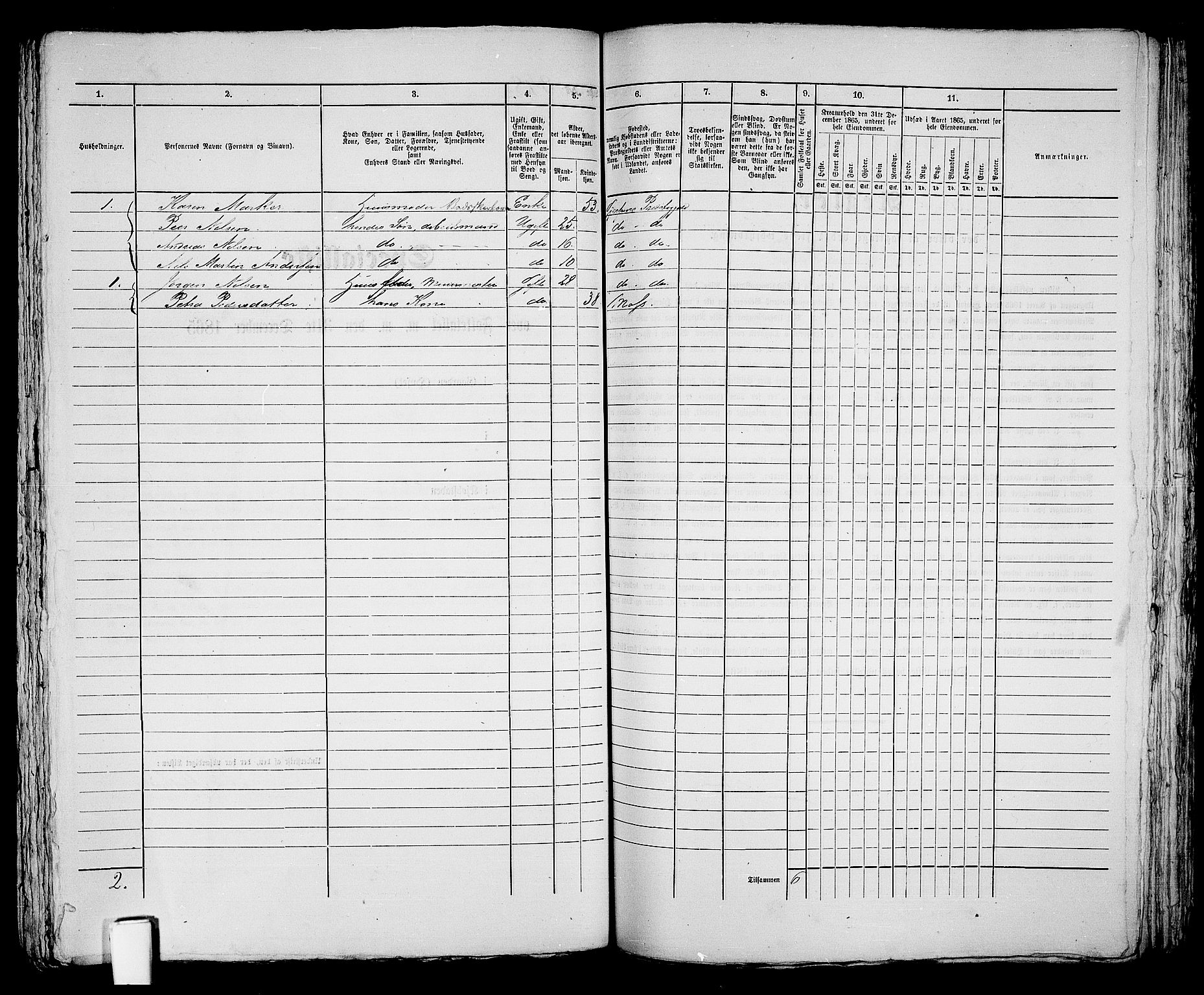 RA, 1865 census for Skien, 1865, p. 713