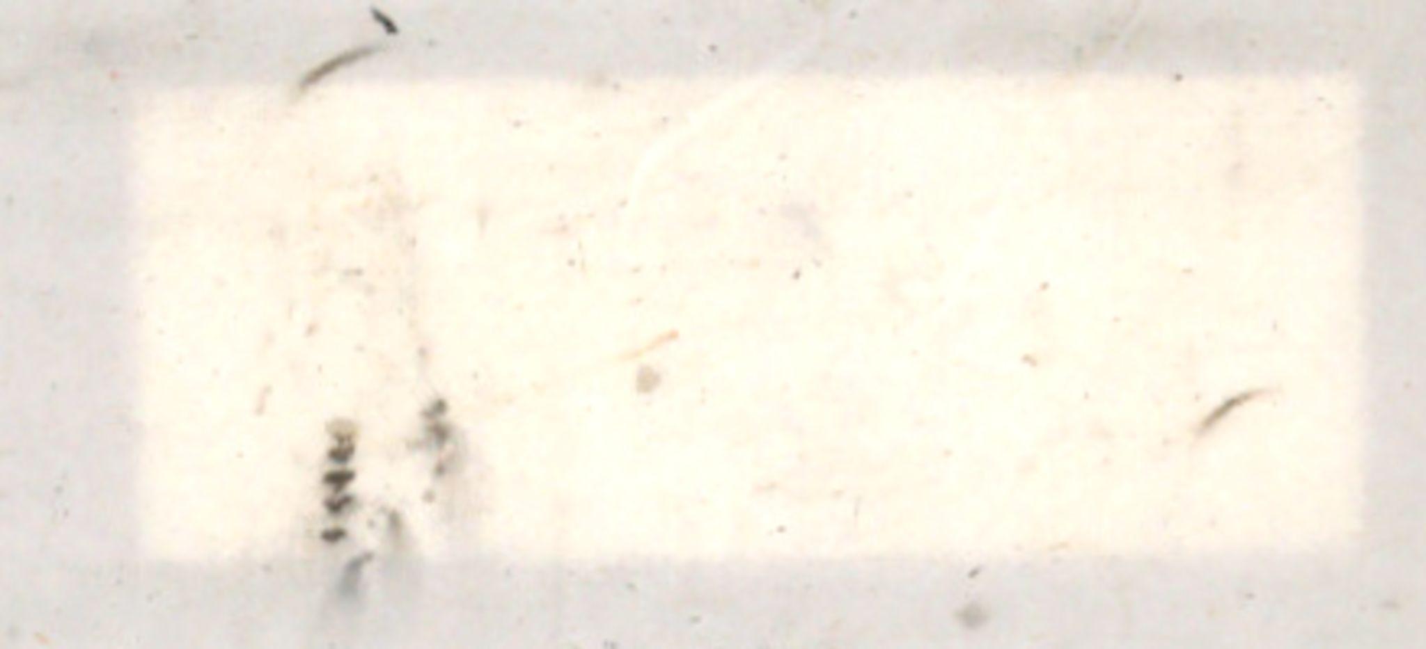 Møre og Romsdal vegkontor - Ålesund trafikkstasjon, AV/SAT-A-4099/F/Fe/L0044: Registreringskort for kjøretøy T 14205 - T 14319, 1927-1998, p. 551