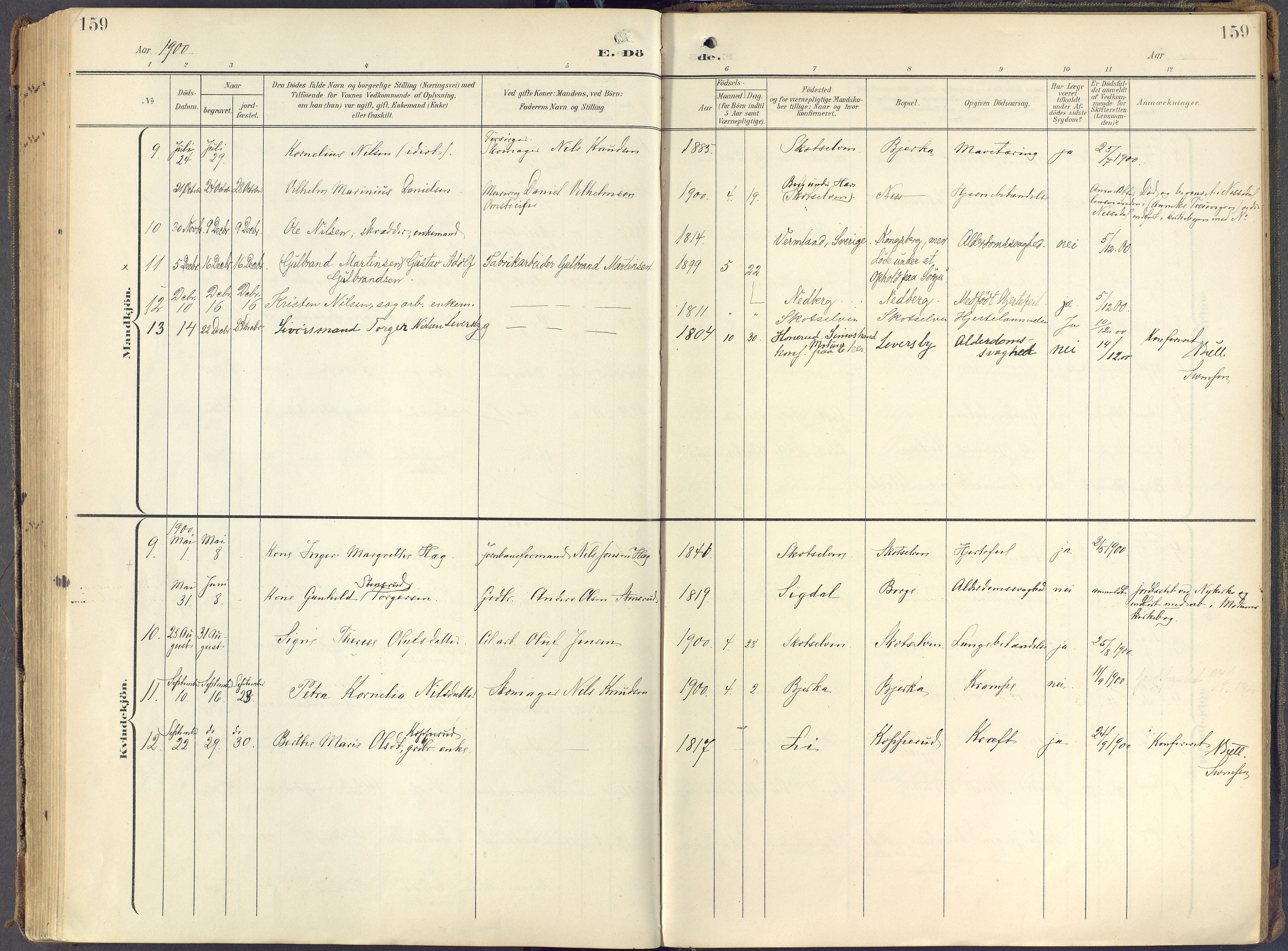 Eiker kirkebøker, AV/SAKO-A-4/F/Fc/L0004: Parish register (official) no. III 4, 1900-1919, p. 159