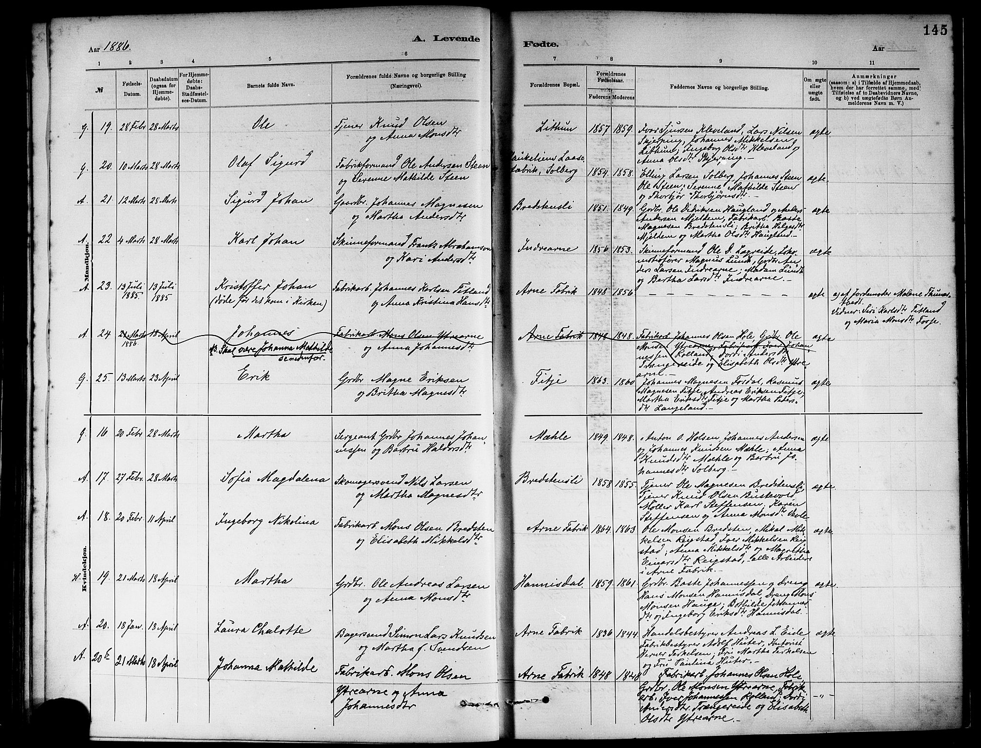 Haus sokneprestembete, AV/SAB-A-75601/H/Haa: Parish register (official) no. A 19I, 1878-1886, p. 145