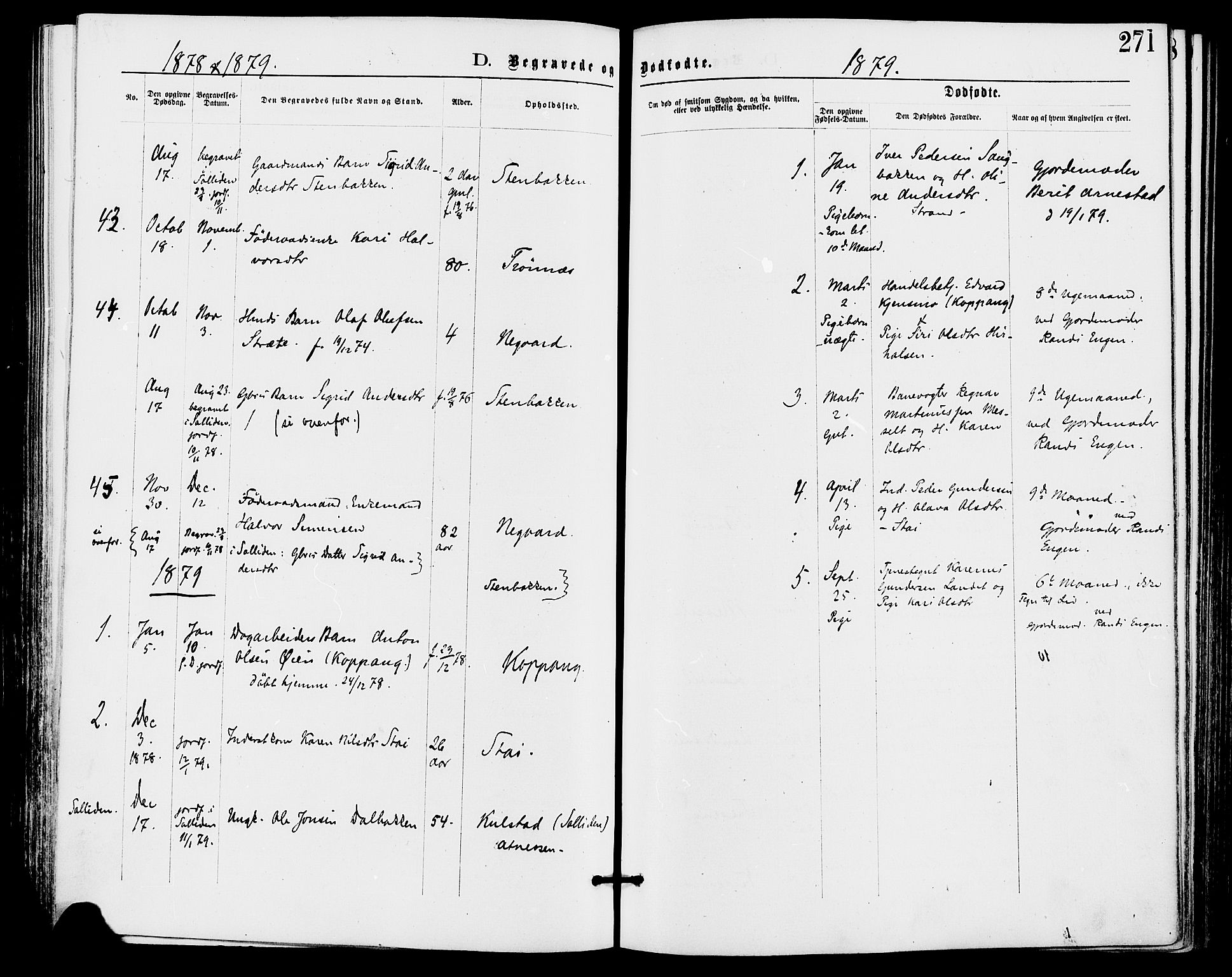 Stor-Elvdal prestekontor, AV/SAH-PREST-052/H/Ha/Haa/L0001: Parish register (official) no. 1, 1871-1882, p. 271