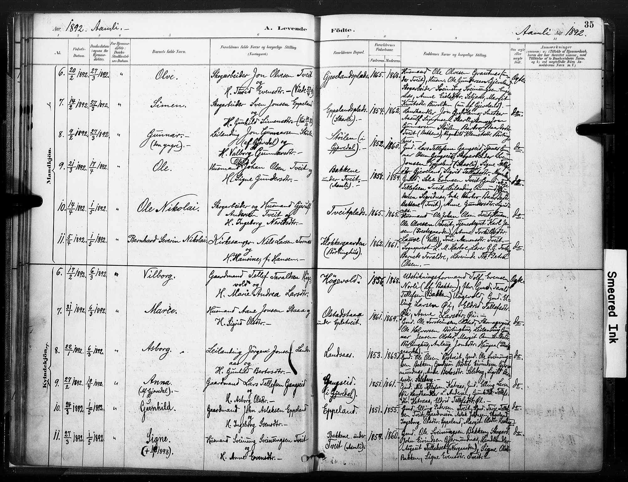 Åmli sokneprestkontor, AV/SAK-1111-0050/F/Fa/Fac/L0010: Parish register (official) no. A 10 /1, 1885-1899, p. 35