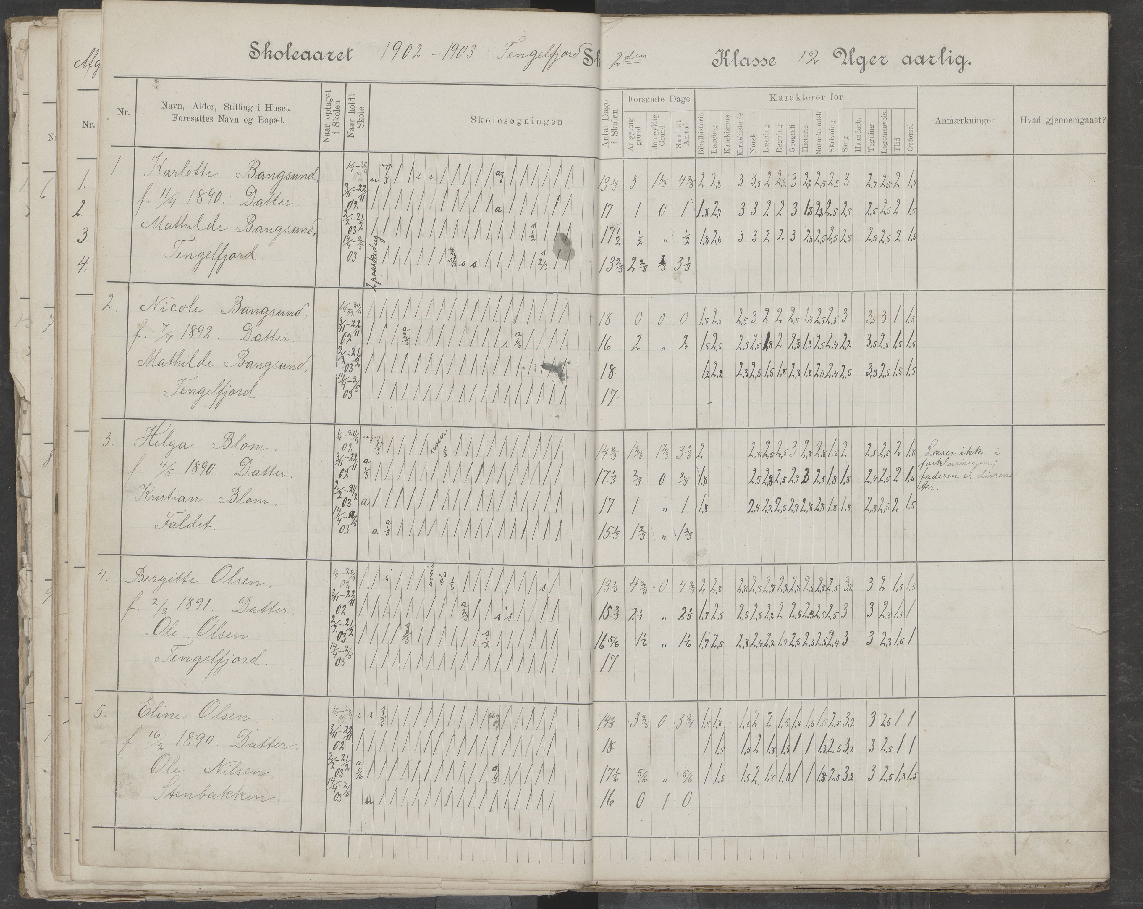 Hadsel kommune. Tengelfjord skolekrets, AIN/K-18660.510.04/G/L0001: Skoleprotokoll for Tengelfjord skole, 1899-1908