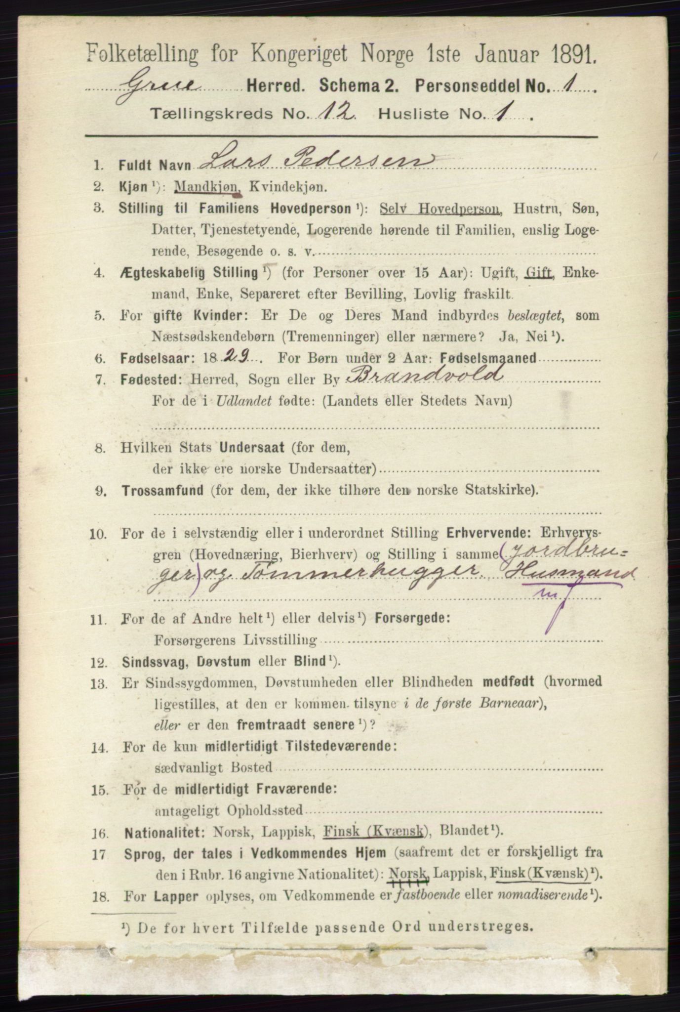 RA, 1891 census for 0423 Grue, 1891, p. 6119