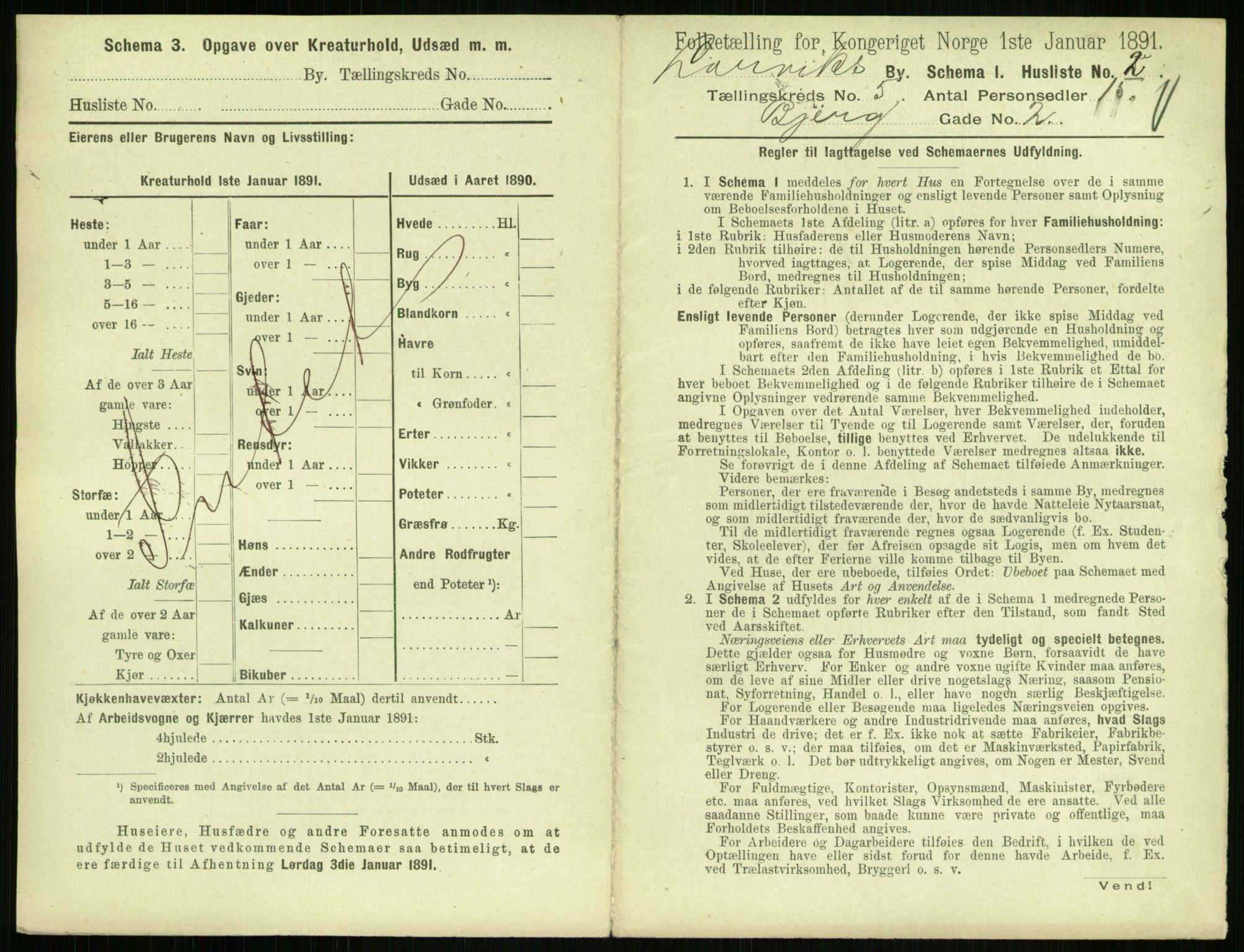 RA, 1891 census for 0707 Larvik, 1891, p. 691