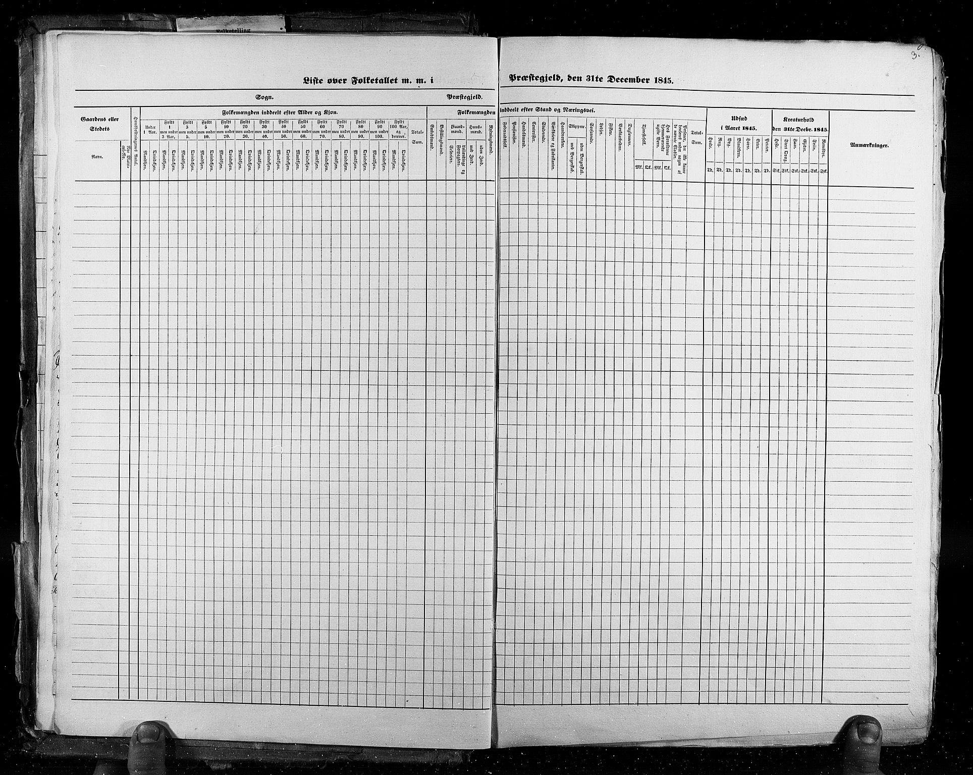 RA, Census 1845, vol. 3: Hedemarken amt og Kristians amt, 1845, p. 8