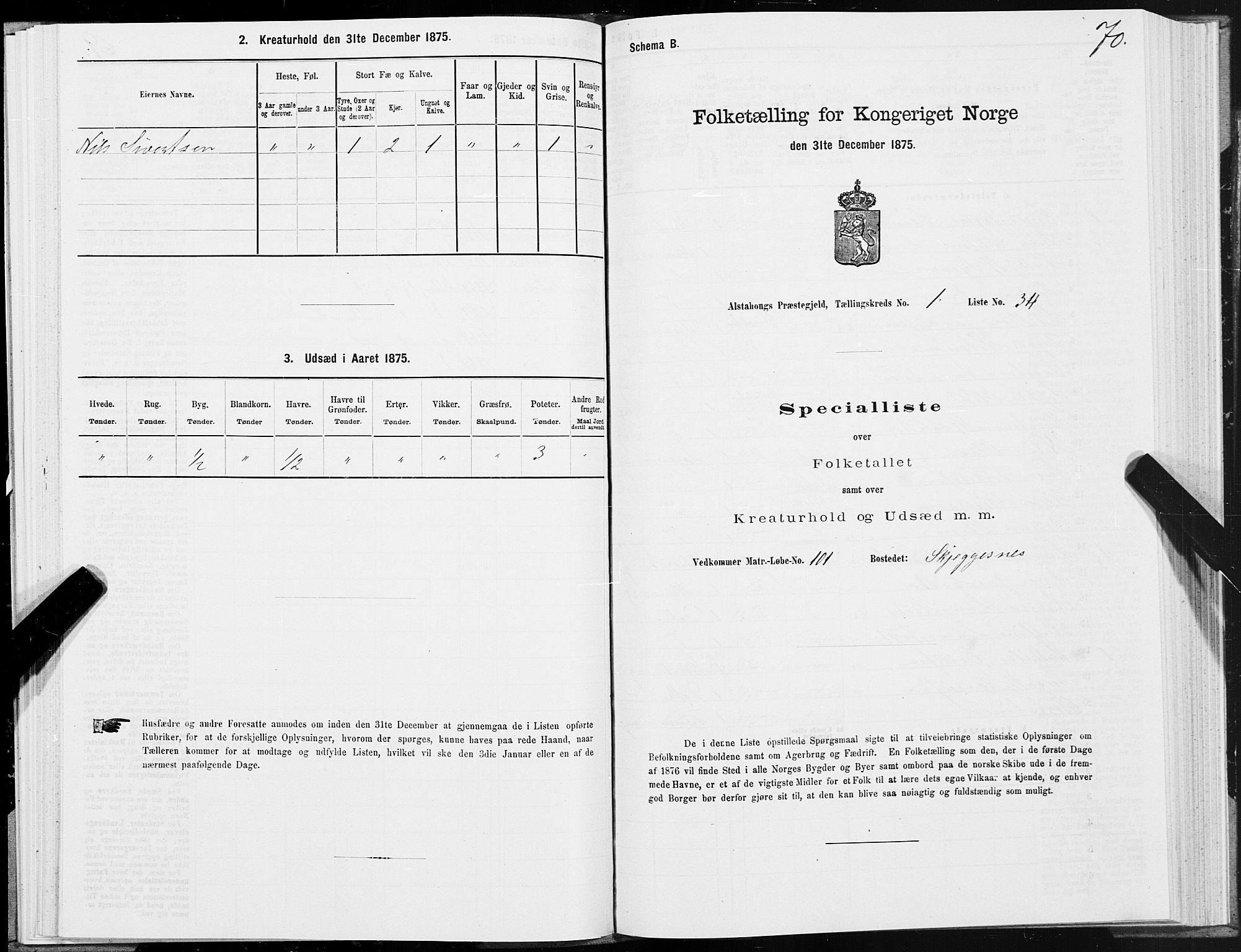 SAT, 1875 census for 1820P Alstahaug, 1875, p. 1070