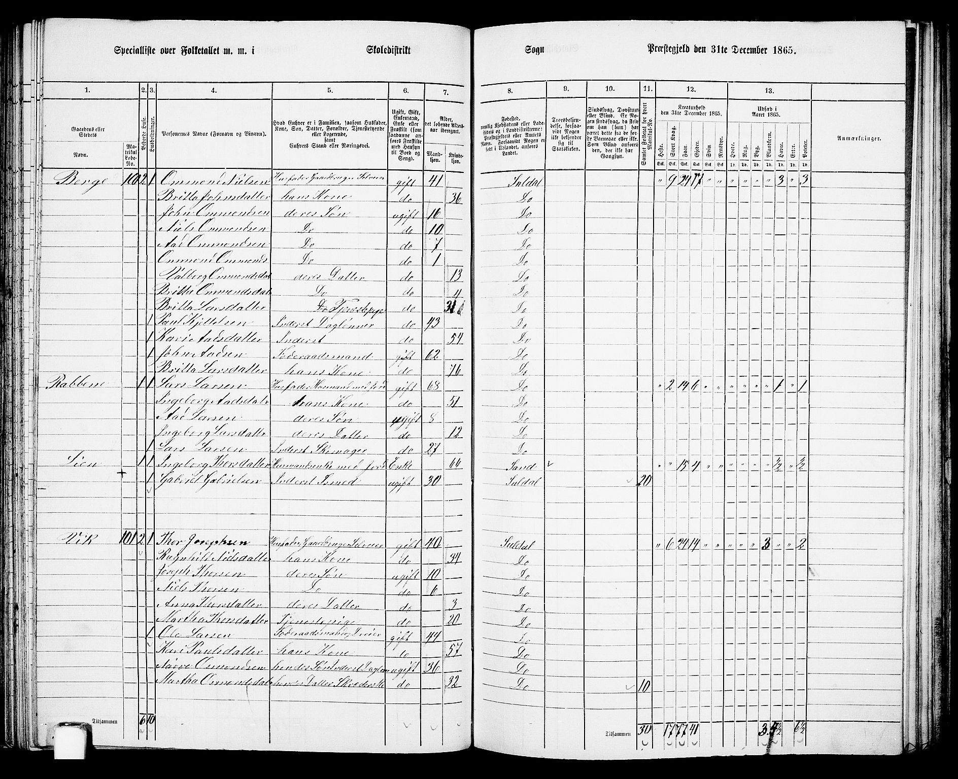 RA, 1865 census for Suldal, 1865, p. 65