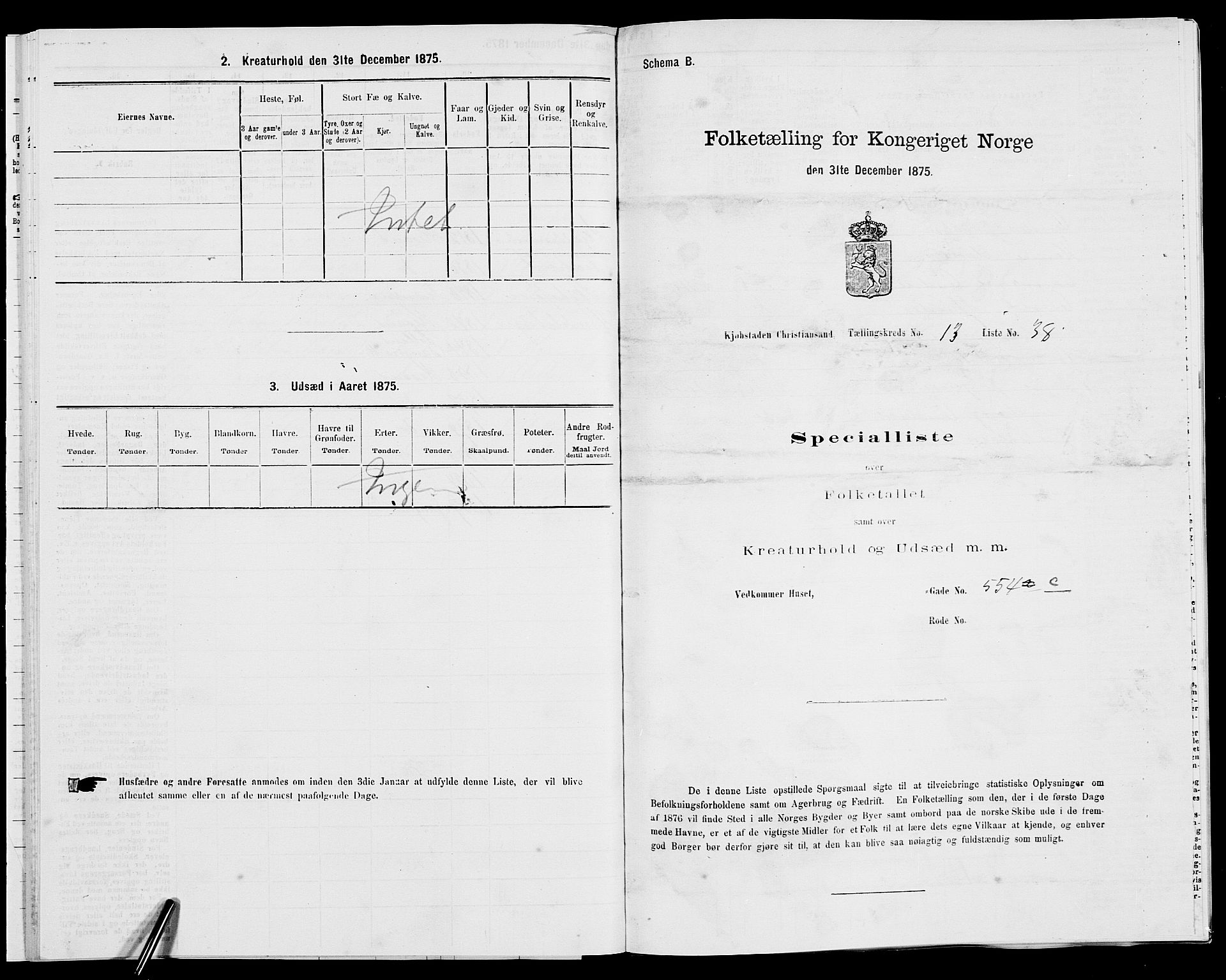 SAK, 1875 census for 1001P Kristiansand, 1875, p. 2089