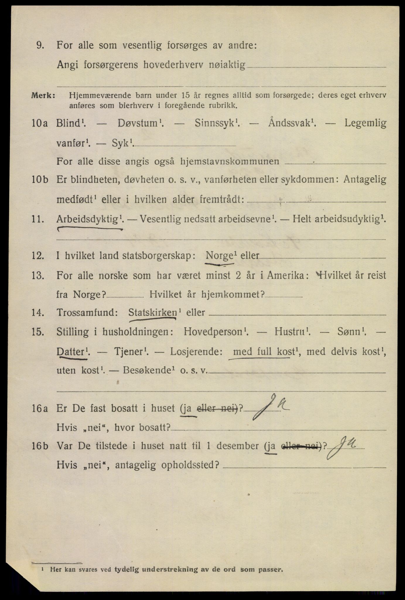 SAKO, 1920 census for Porsgrunn, 1920, p. 17330