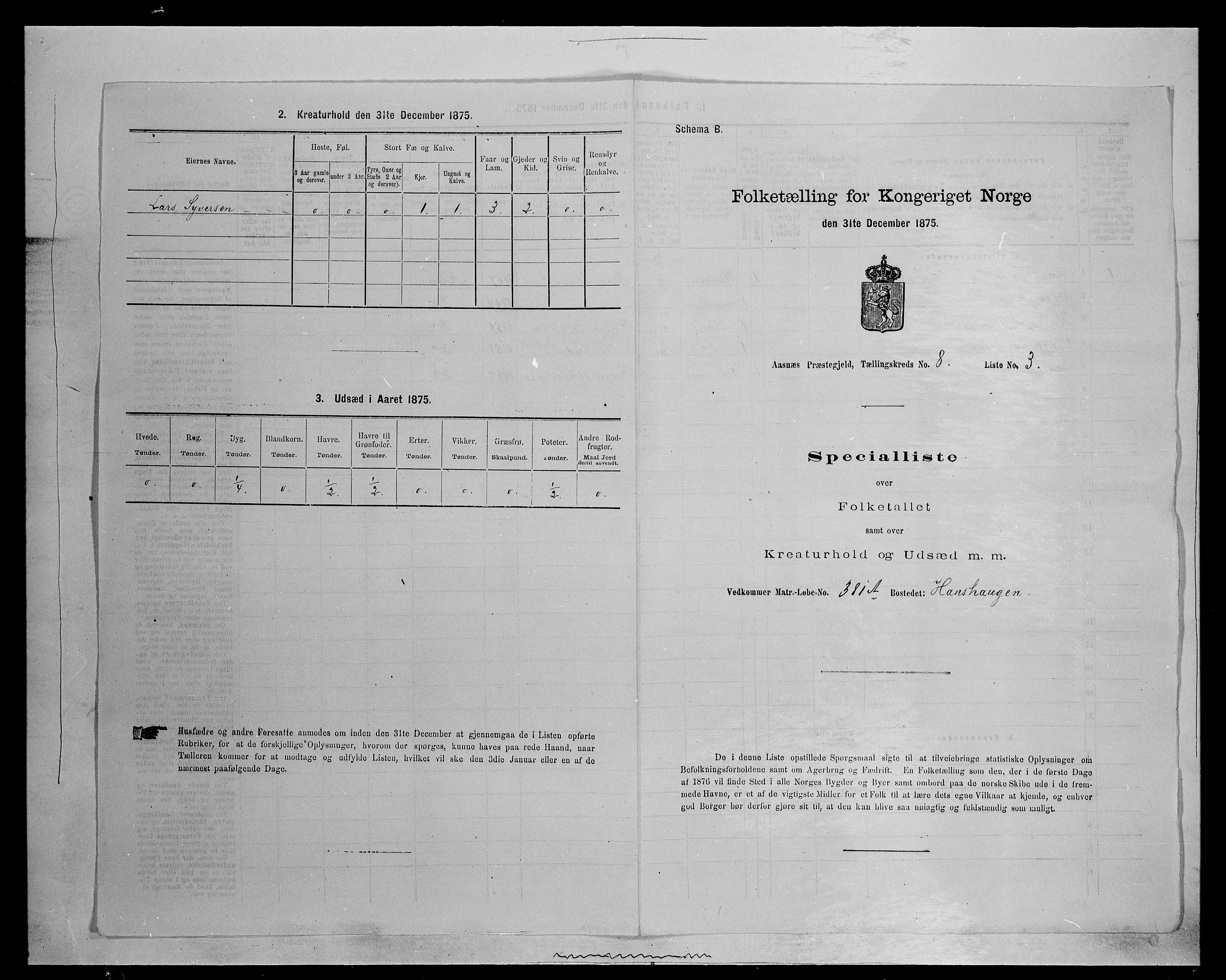 SAH, 1875 census for 0425P Åsnes, 1875, p. 1185