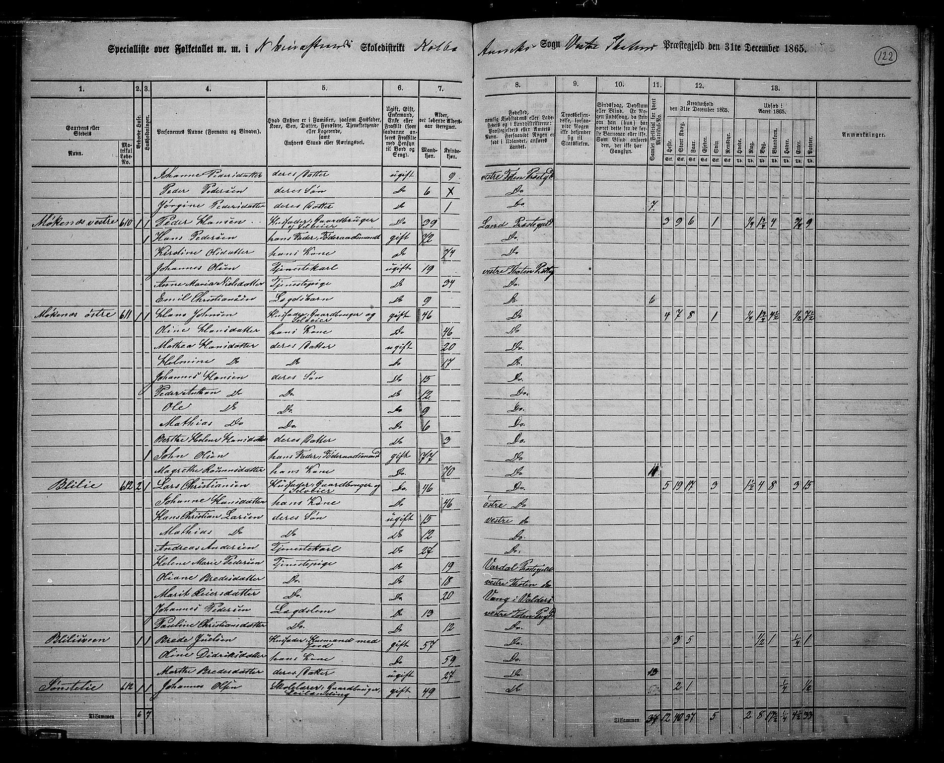 RA, 1865 census for Vestre Toten, 1865, p. 271