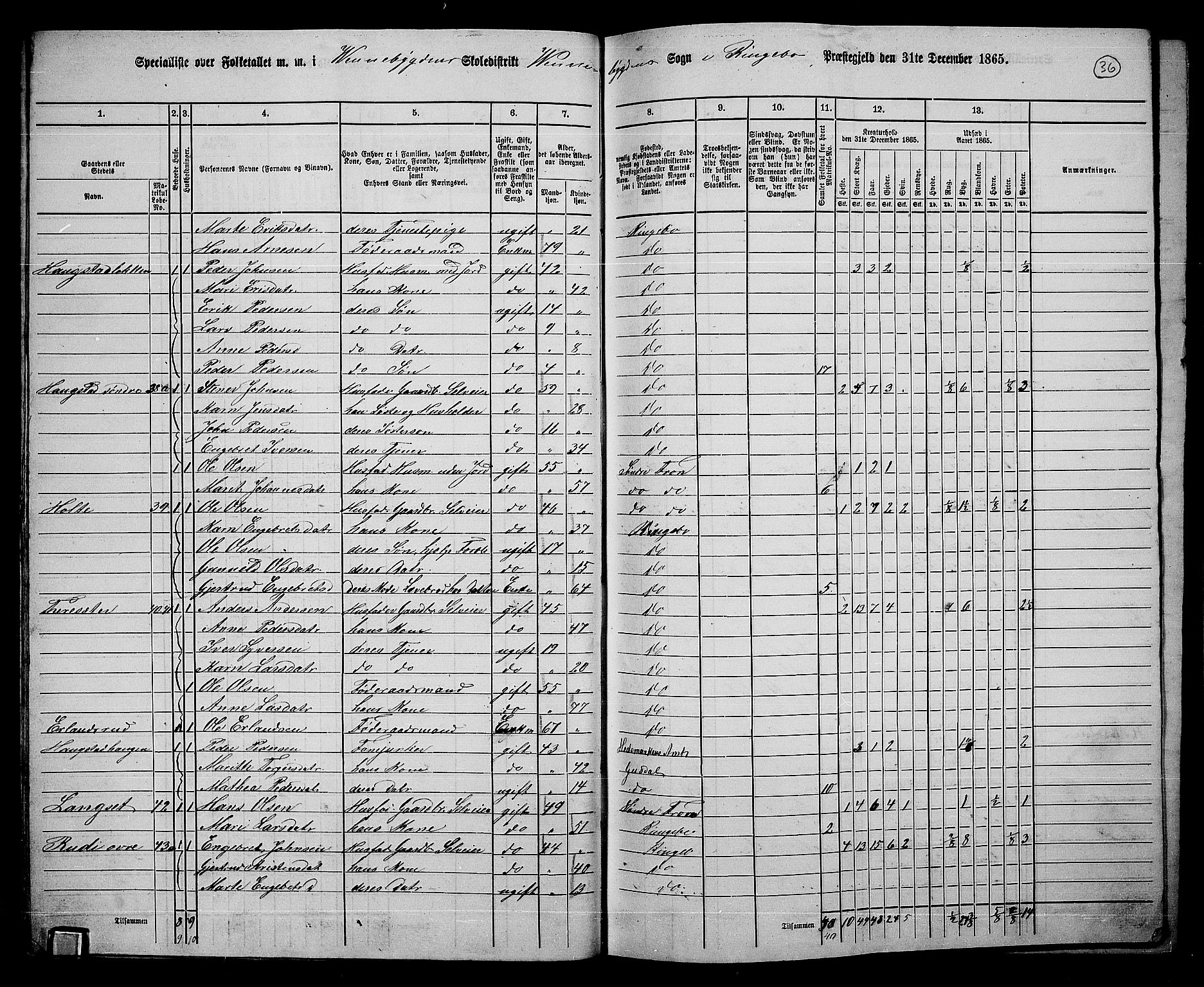 RA, 1865 census for Ringebu, 1865, p. 31