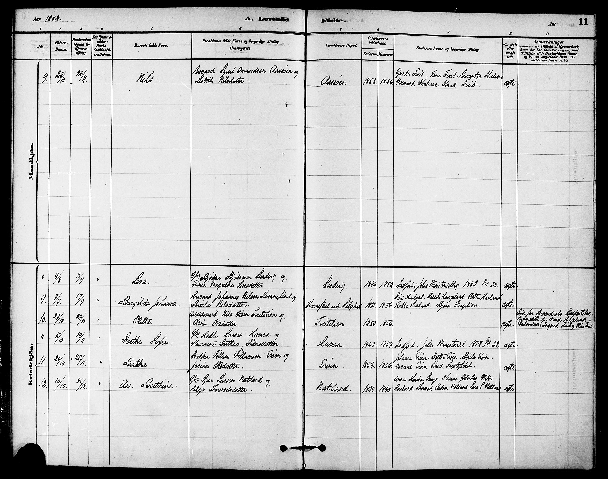 Jelsa sokneprestkontor, AV/SAST-A-101842/01/IV: Parish register (official) no. A 9, 1878-1898, p. 11