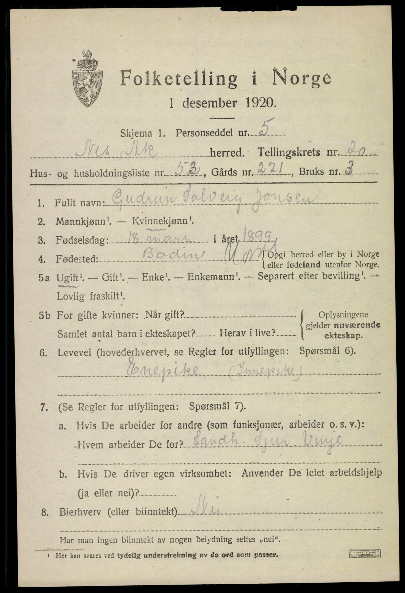 SAO, 1920 census for Nes, 1920, p. 21934