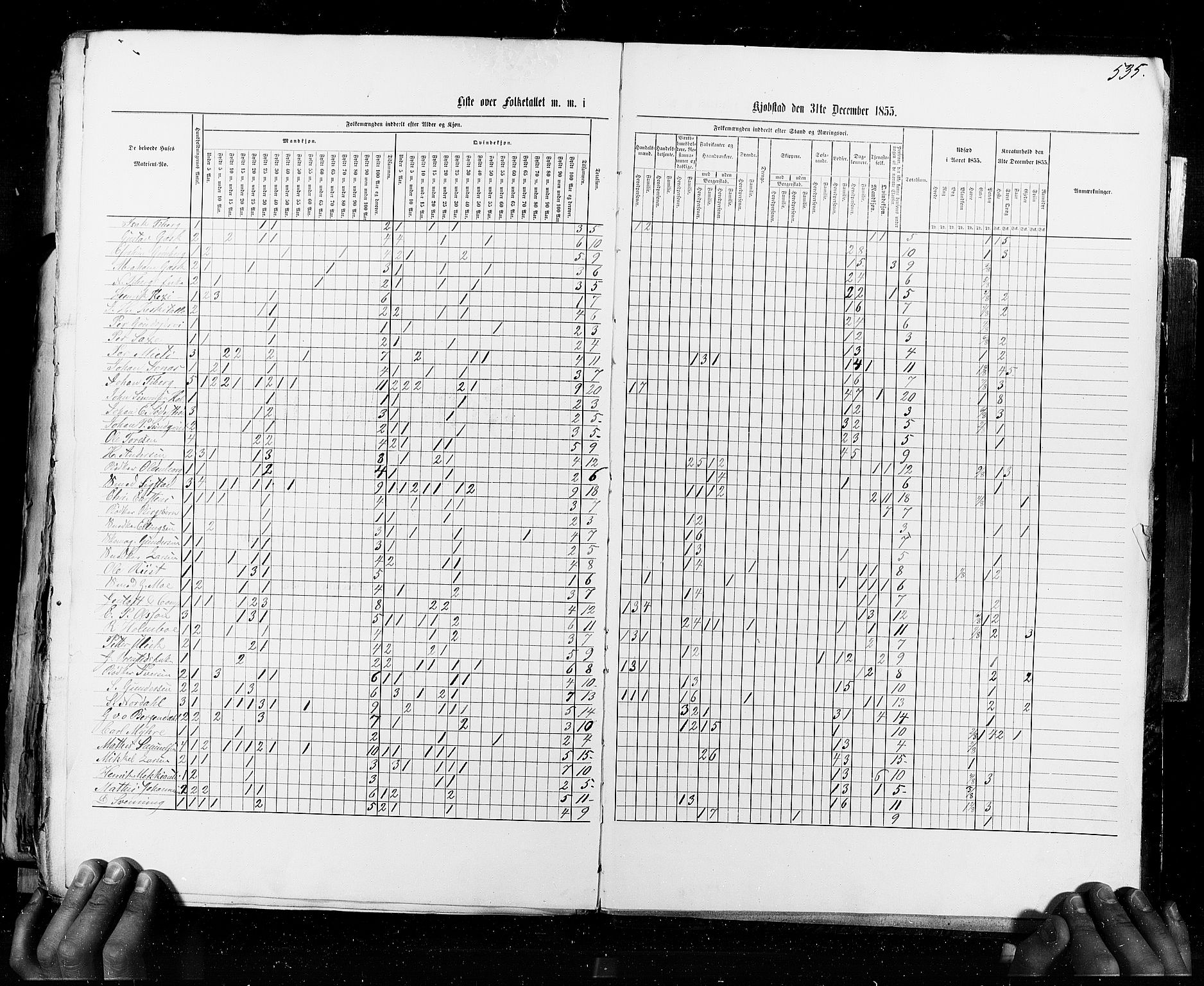 RA, Census 1855, vol. 8: Risør-Vadsø, 1855, p. 535