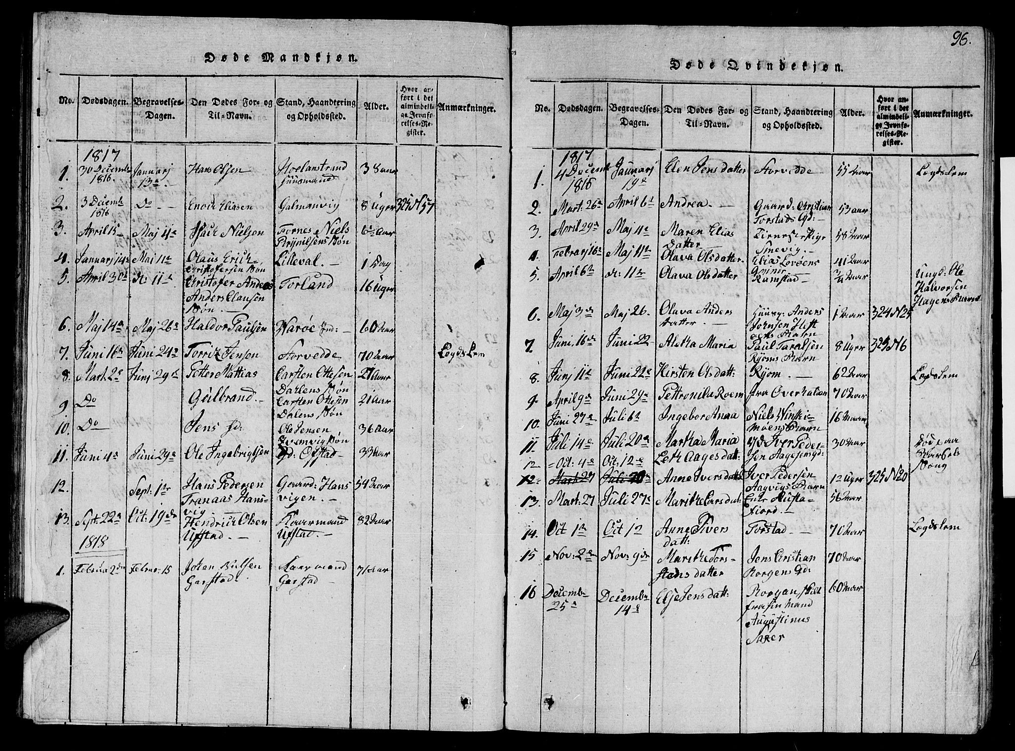 Ministerialprotokoller, klokkerbøker og fødselsregistre - Nord-Trøndelag, AV/SAT-A-1458/784/L0679: Parish register (copy) no. 784C01 /1, 1816-1822, p. 96