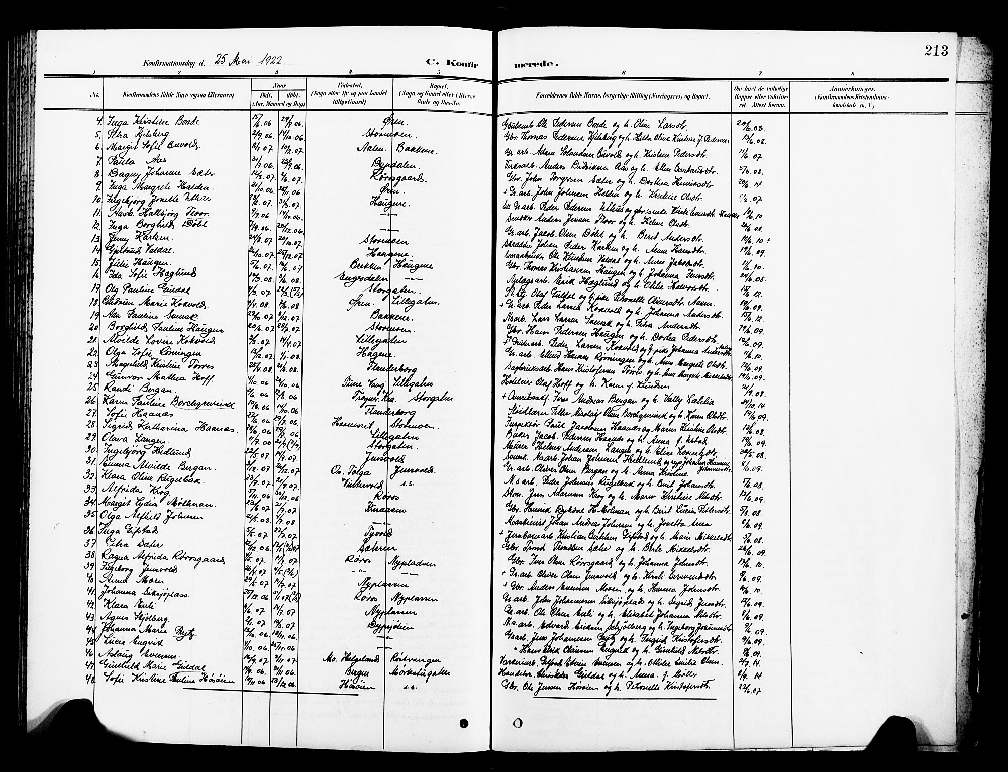 Ministerialprotokoller, klokkerbøker og fødselsregistre - Sør-Trøndelag, AV/SAT-A-1456/681/L0942: Parish register (copy) no. 681C06, 1906-1925, p. 213