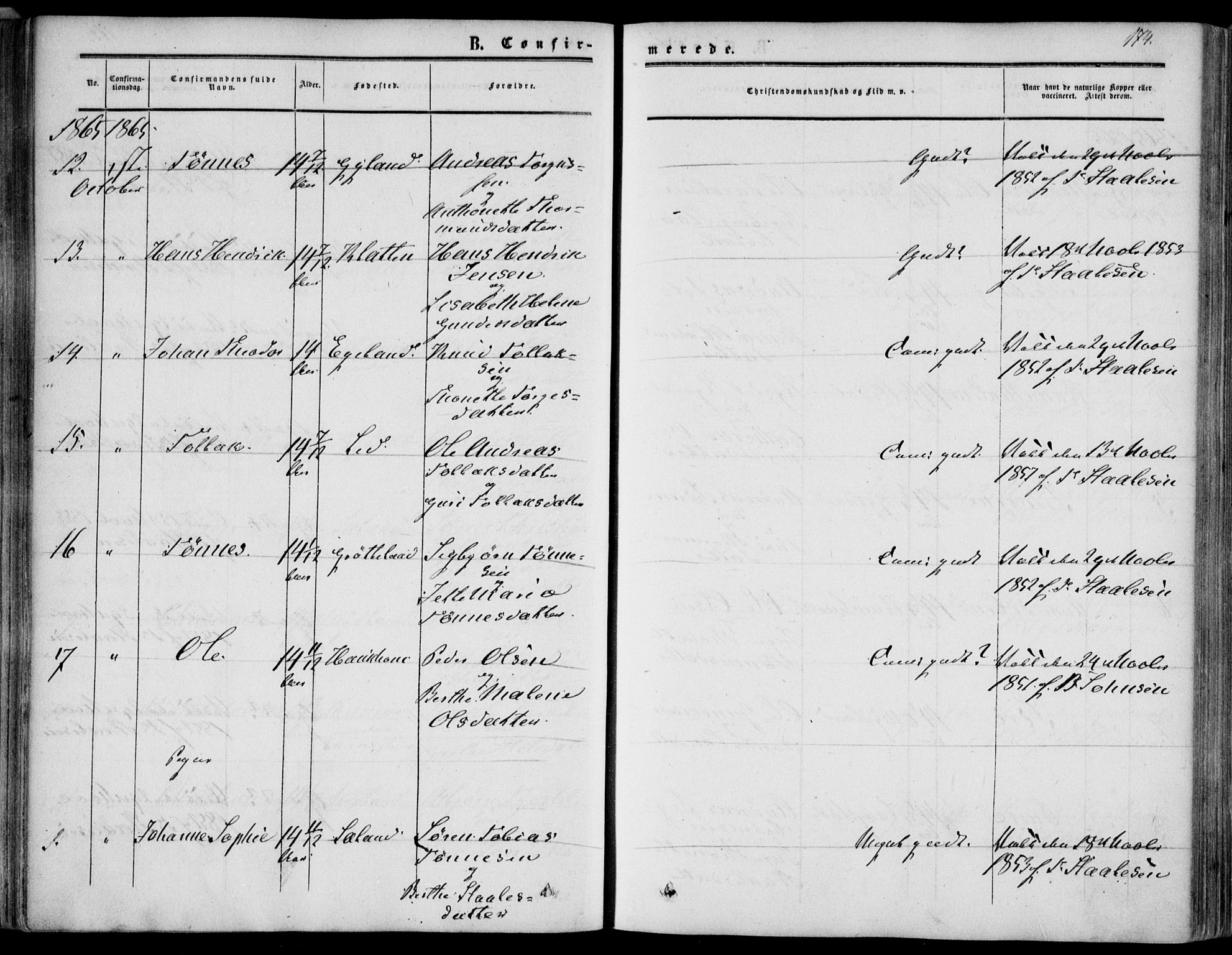 Bakke sokneprestkontor, SAK/1111-0002/F/Fa/Fab/L0002: Parish register (official) no. A 2, 1855-1884, p. 174