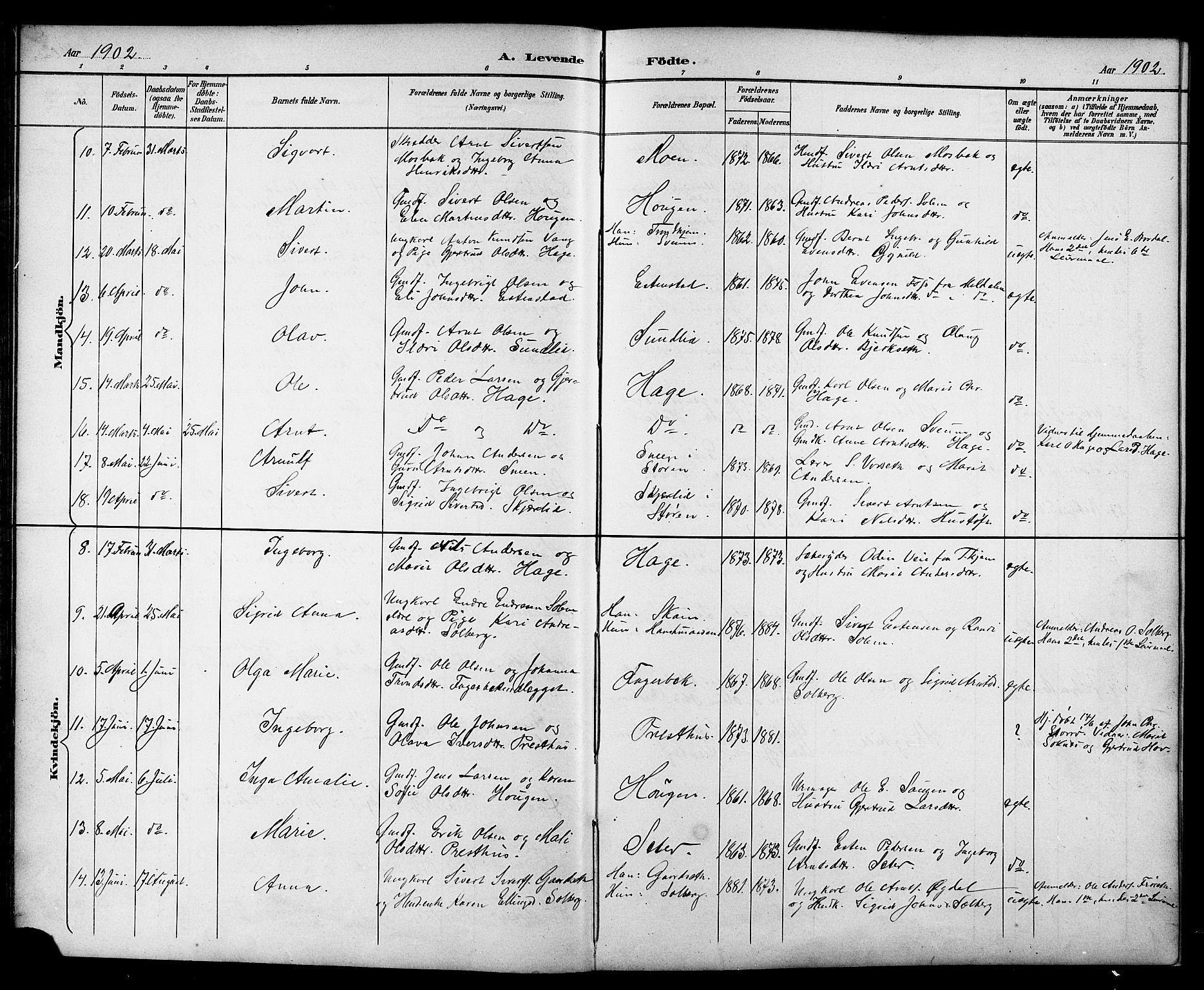 Ministerialprotokoller, klokkerbøker og fødselsregistre - Sør-Trøndelag, AV/SAT-A-1456/689/L1044: Parish register (copy) no. 689C03, 1893-1922