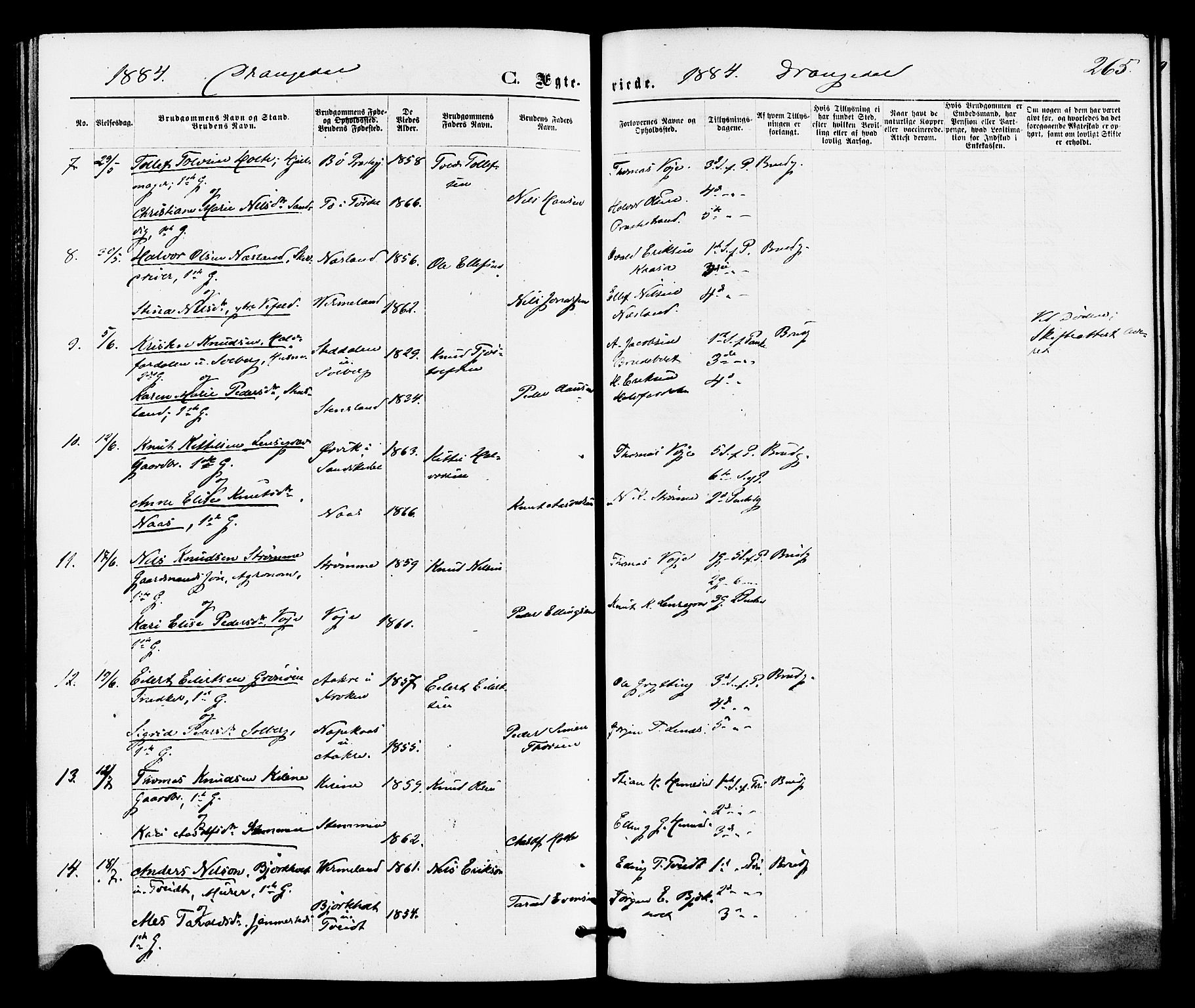 Drangedal kirkebøker, SAKO/A-258/F/Fa/L0009: Parish register (official) no. 9 /1, 1872-1884, p. 265
