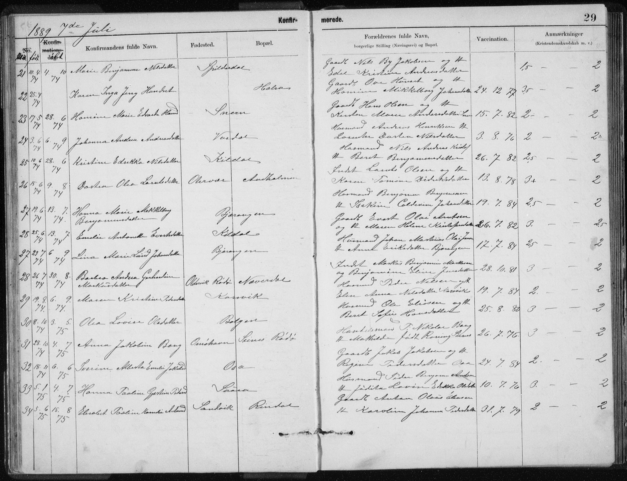 Ministerialprotokoller, klokkerbøker og fødselsregistre - Nordland, SAT/A-1459/843/L0637: Parish register (copy) no. 843C06, 1884-1908, p. 29