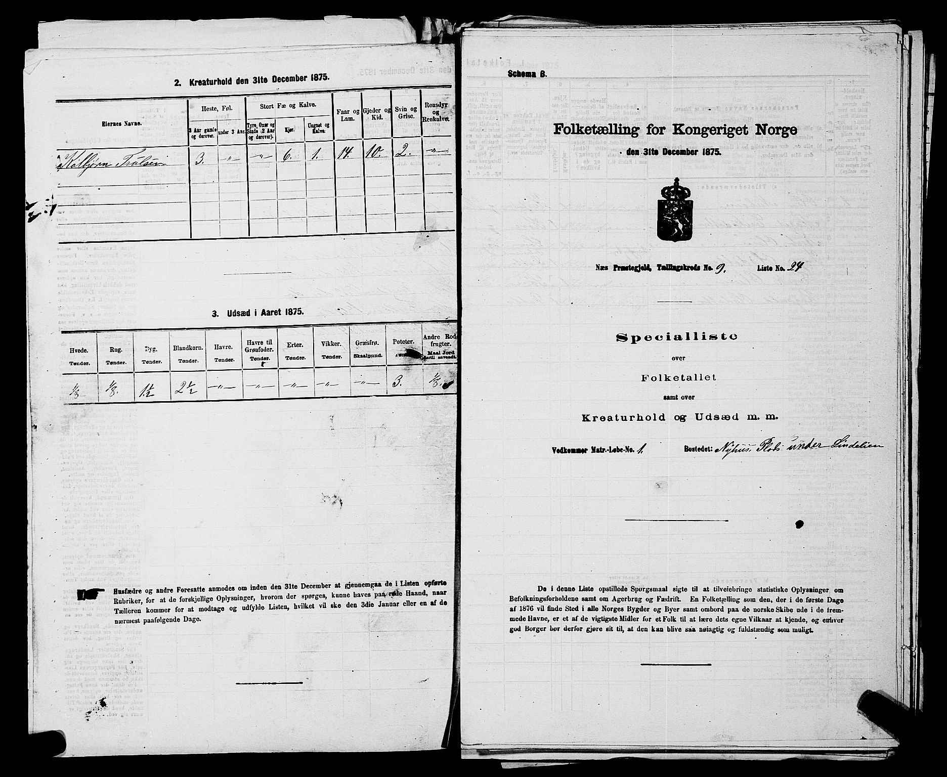 SAKO, 1875 census for 0616P Nes, 1875, p. 1406