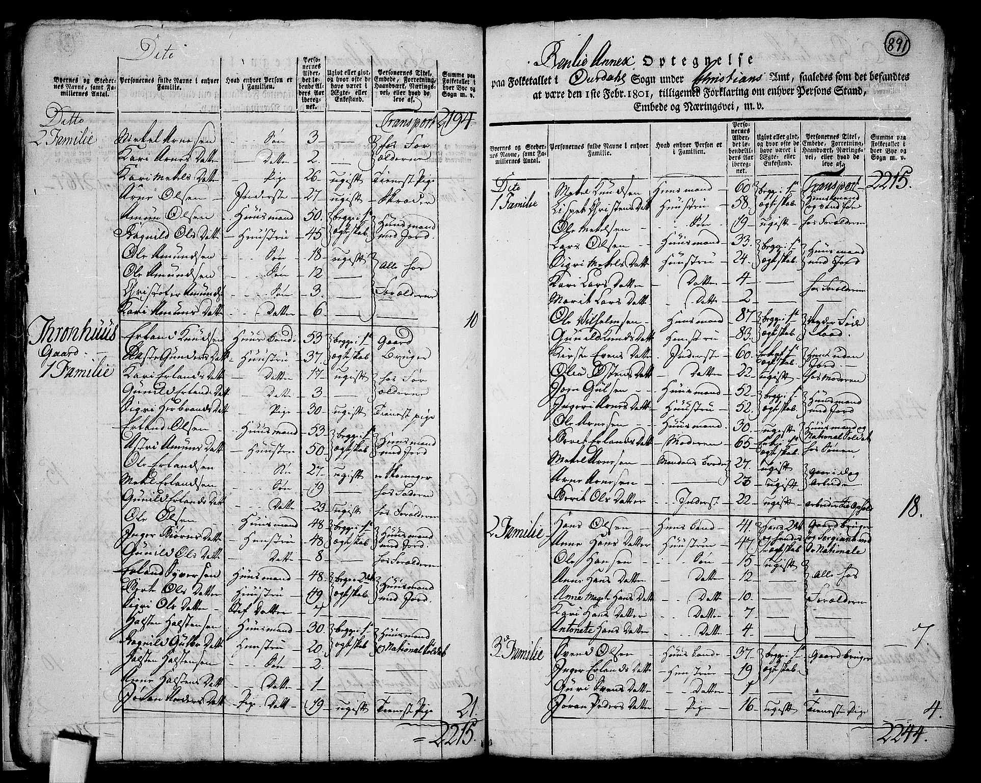 RA, 1801 census for 0542P Aurdal, 1801, p. 890b-891a