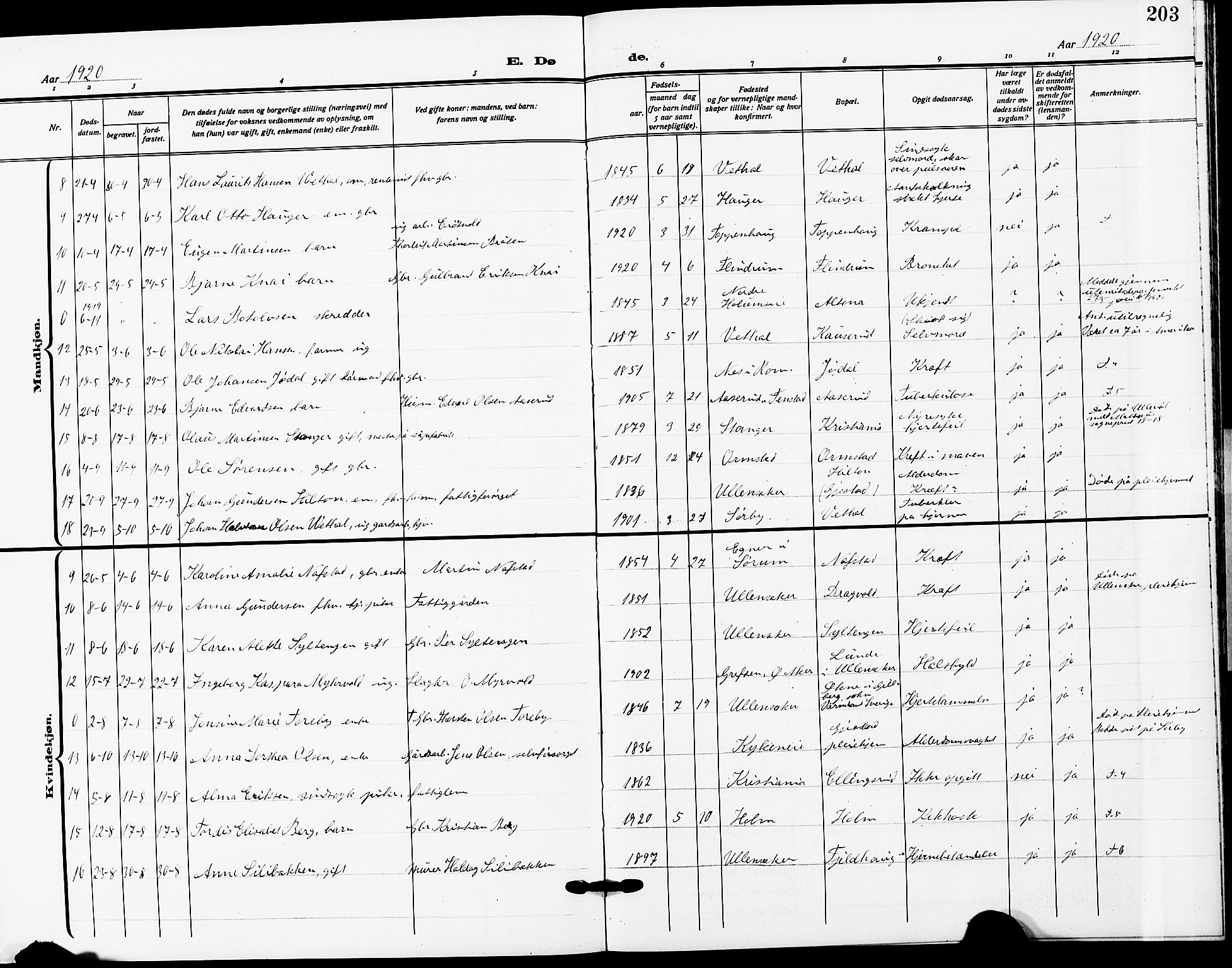 Ullensaker prestekontor Kirkebøker, SAO/A-10236a/G/Ga/L0003: Parish register (copy) no. I 3, 1914-1929, p. 203