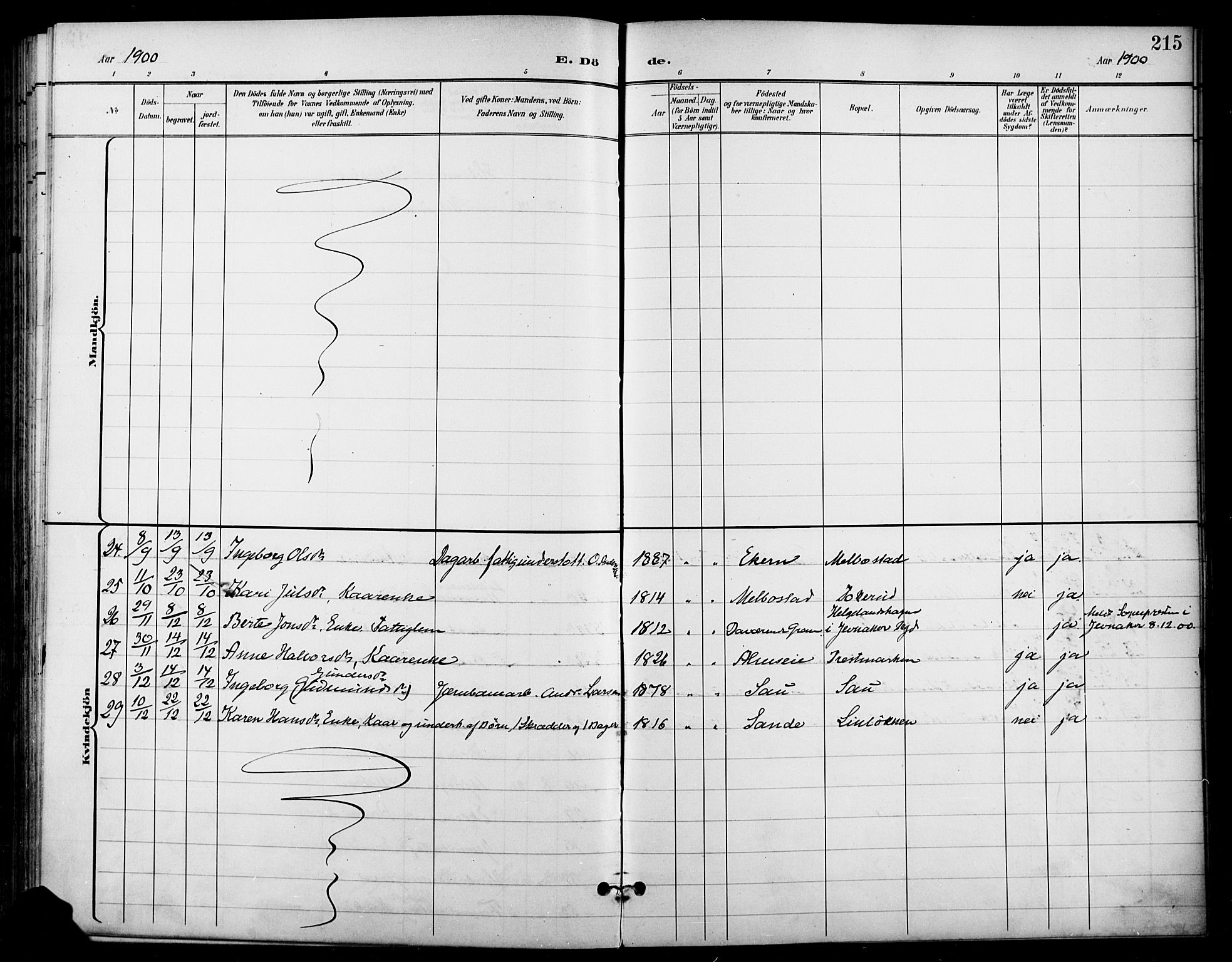 Gran prestekontor, SAH/PREST-112/H/Ha/Haa/L0019: Parish register (official) no. 19, 1898-1907, p. 215