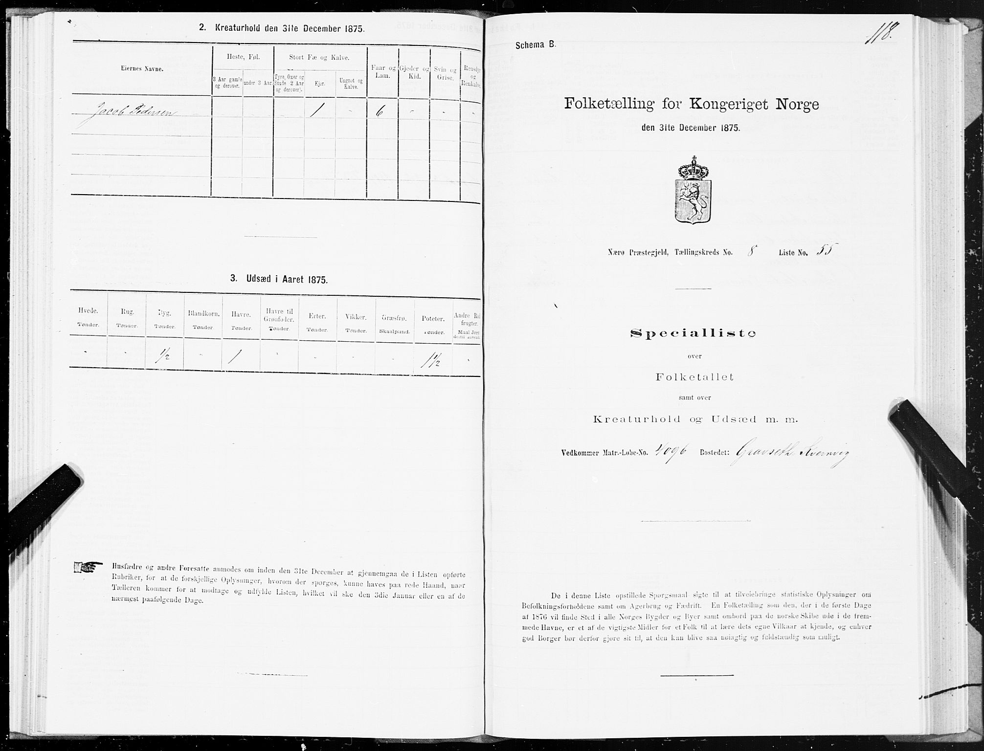 SAT, 1875 census for 1751P Nærøy, 1875, p. 4118