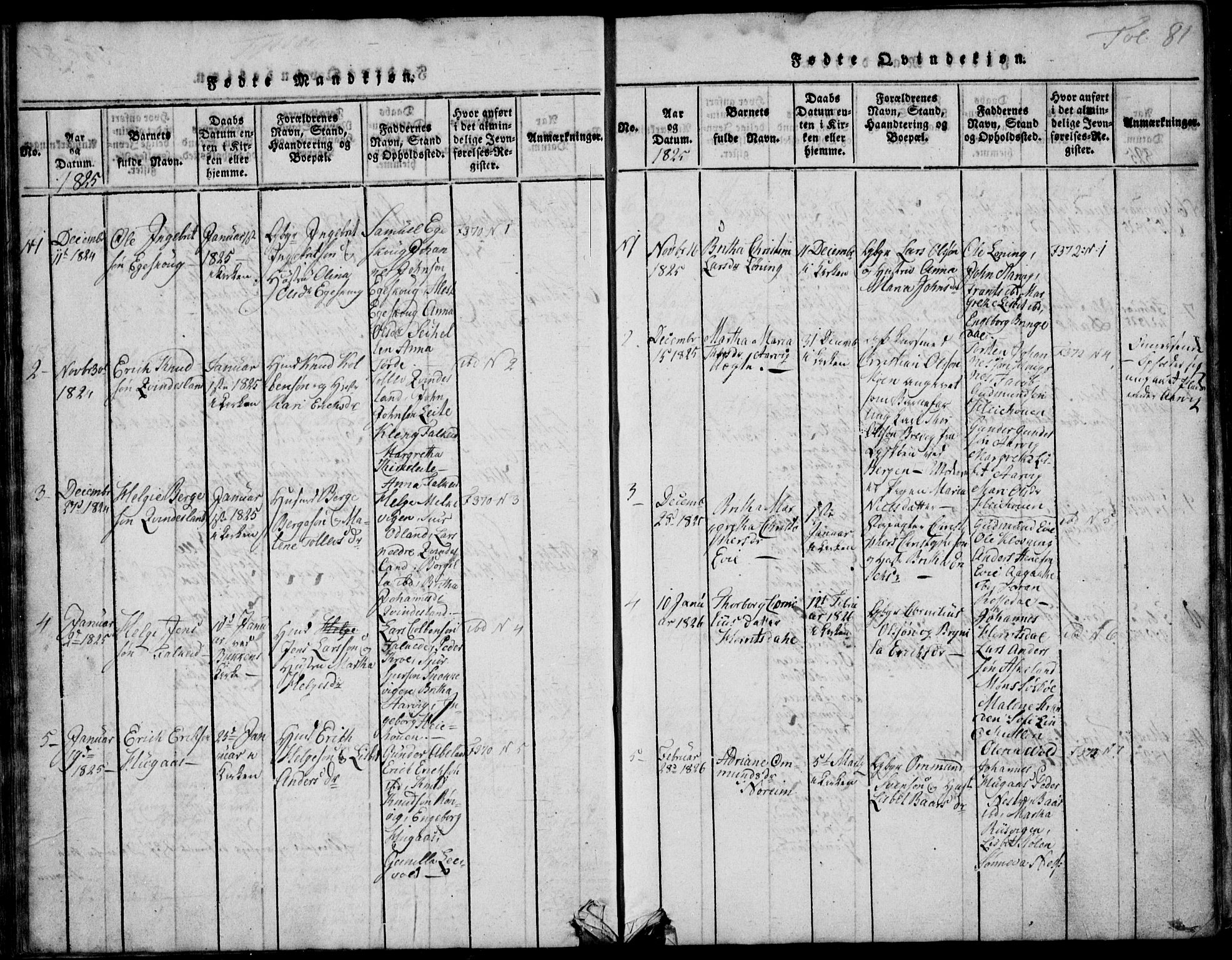 Skjold sokneprestkontor, SAST/A-101847/H/Ha/Hab/L0002: Parish register (copy) no. B 2 /1, 1815-1830, p. 81