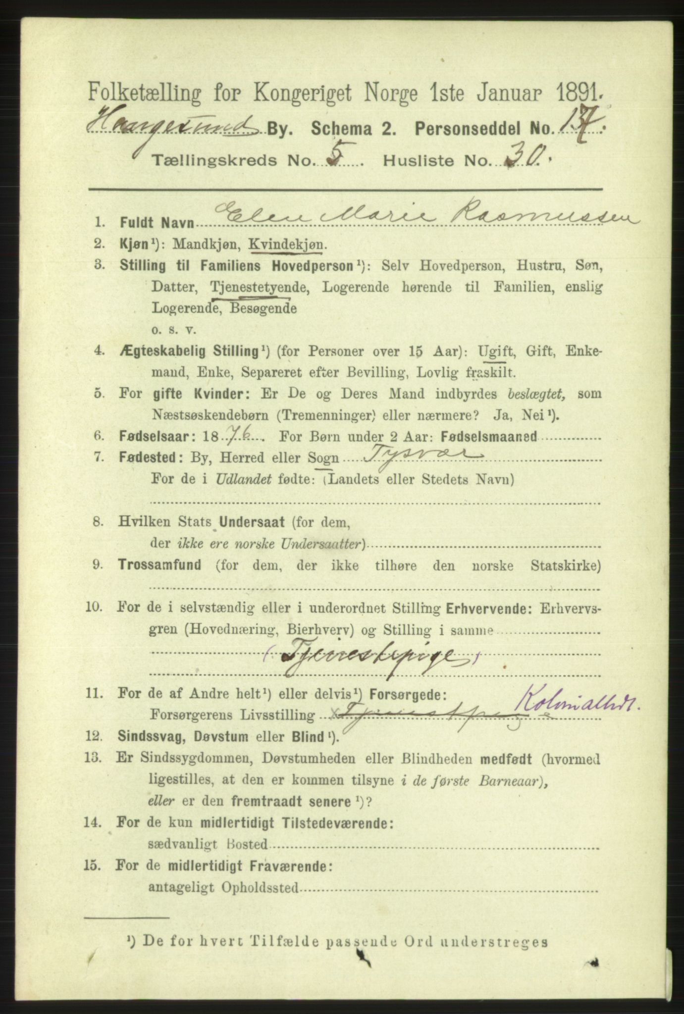 RA, 1891 census for 1106 Haugesund, 1891, p. 2549