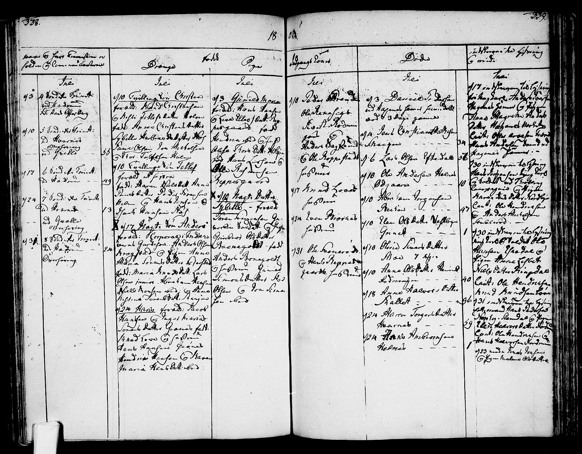 Hedrum kirkebøker, SAKO/A-344/F/Fa/L0002: Parish register (official) no. I 2, 1785-1807, p. 338-339