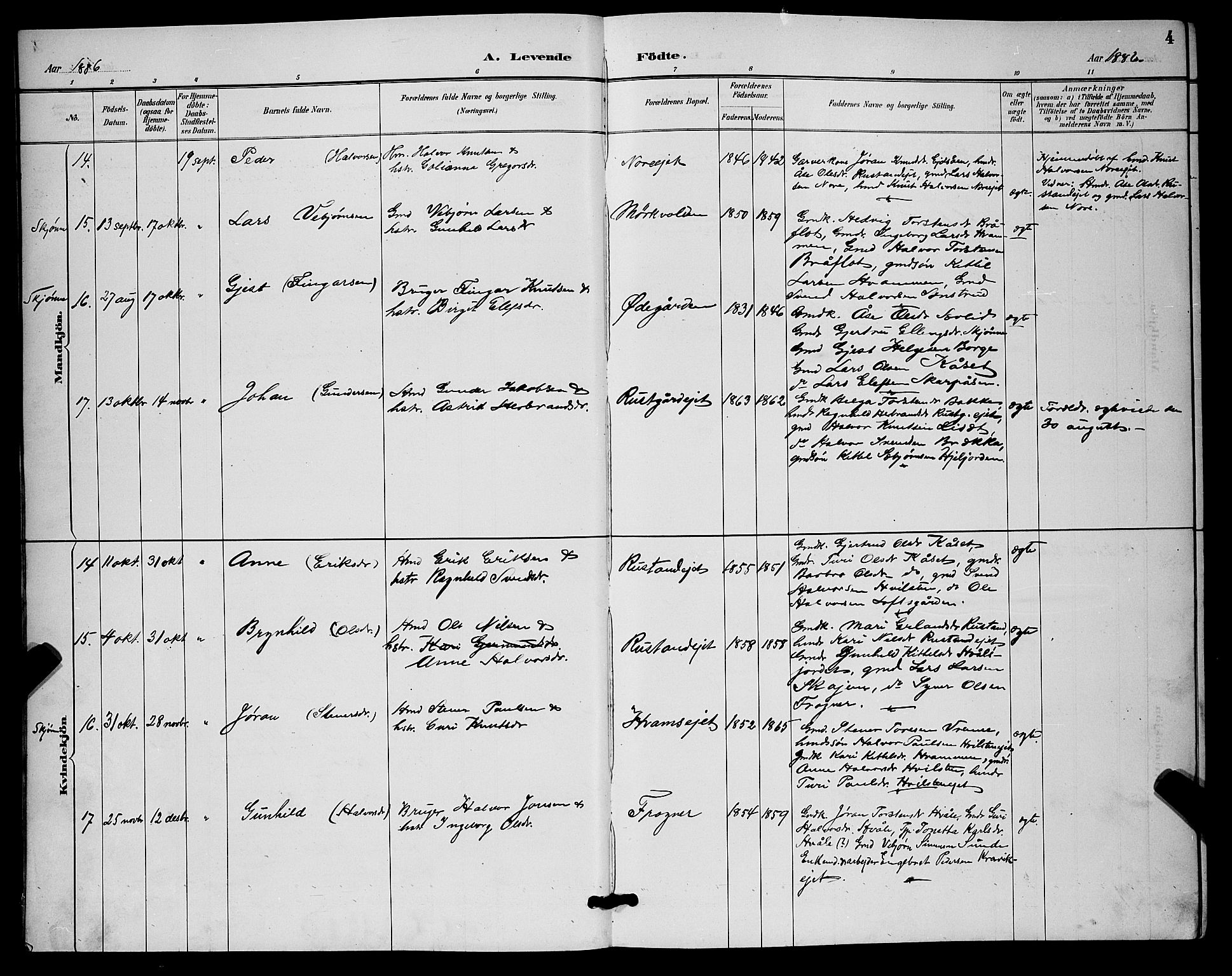 Nore kirkebøker, AV/SAKO-A-238/G/Ga/L0003: Parish register (copy) no. I 3, 1886-1903, p. 4