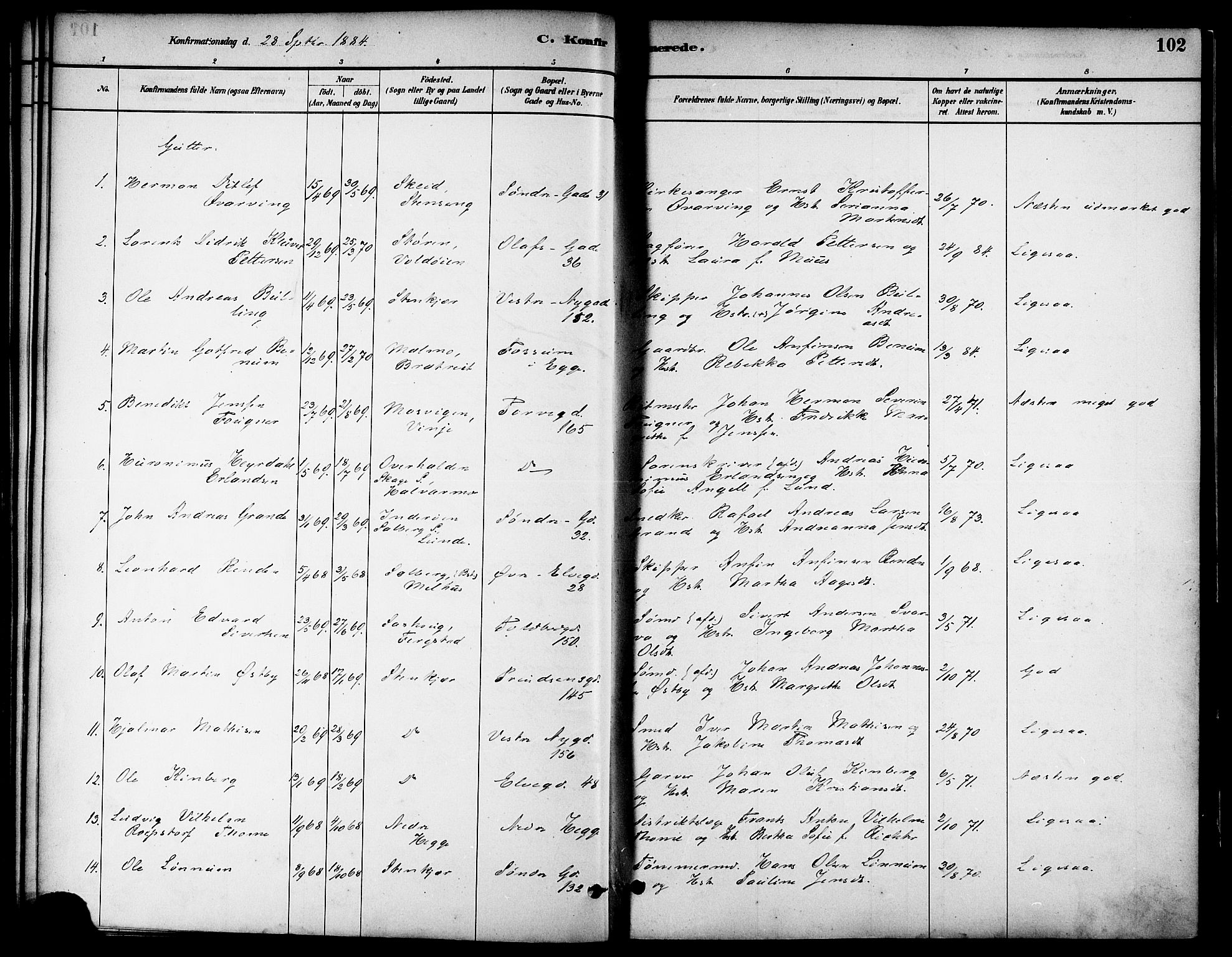 Ministerialprotokoller, klokkerbøker og fødselsregistre - Nord-Trøndelag, SAT/A-1458/739/L0371: Parish register (official) no. 739A03, 1881-1895, p. 102