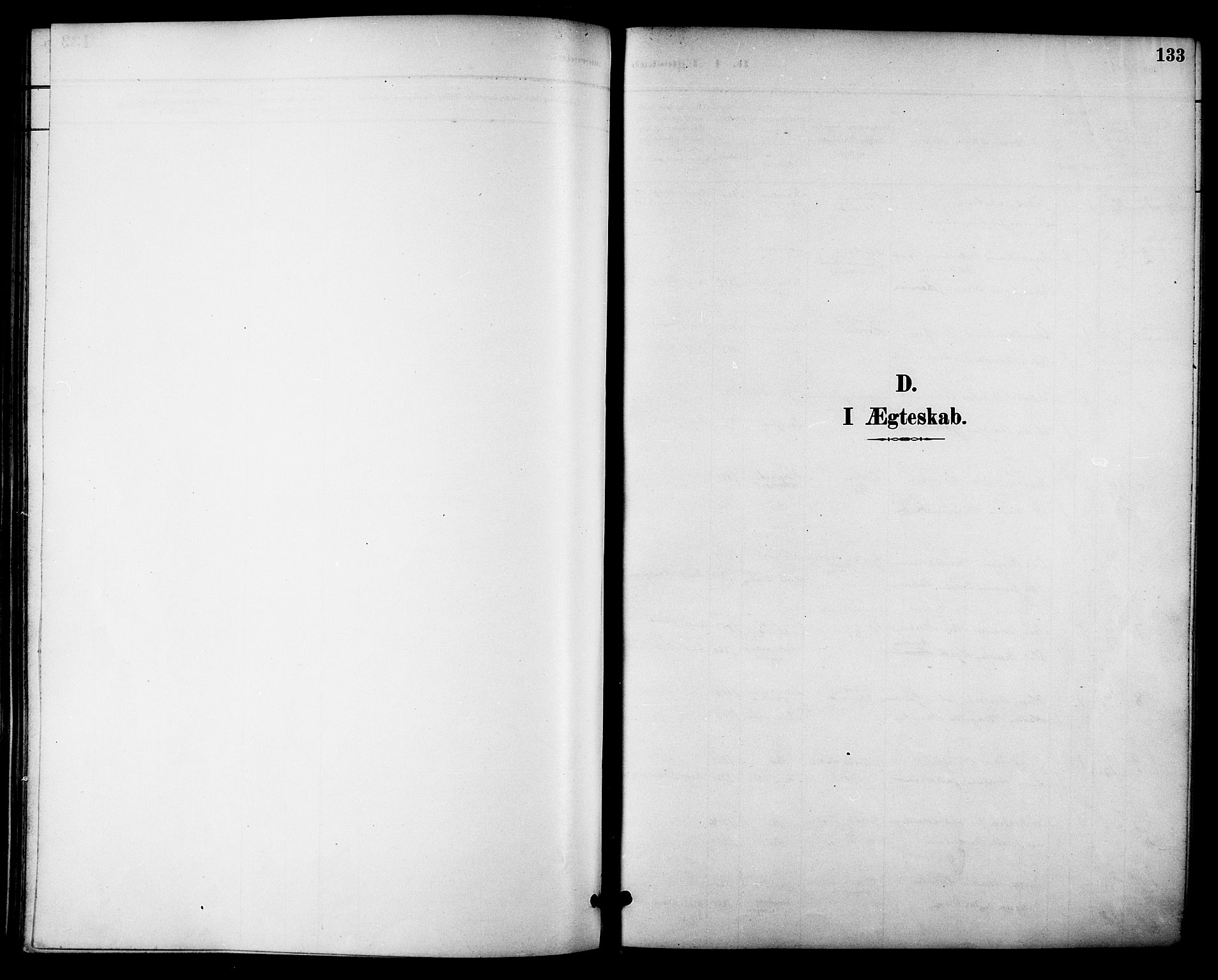 Ministerialprotokoller, klokkerbøker og fødselsregistre - Nordland, AV/SAT-A-1459/895/L1371: Parish register (official) no. 895A06, 1885-1894, p. 133