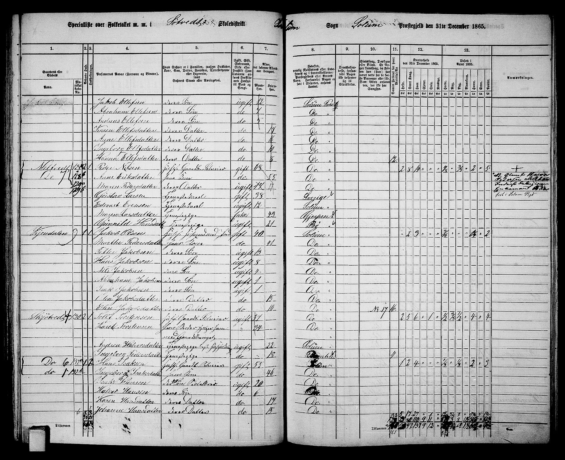 RA, 1865 census for Solum, 1865, p. 121